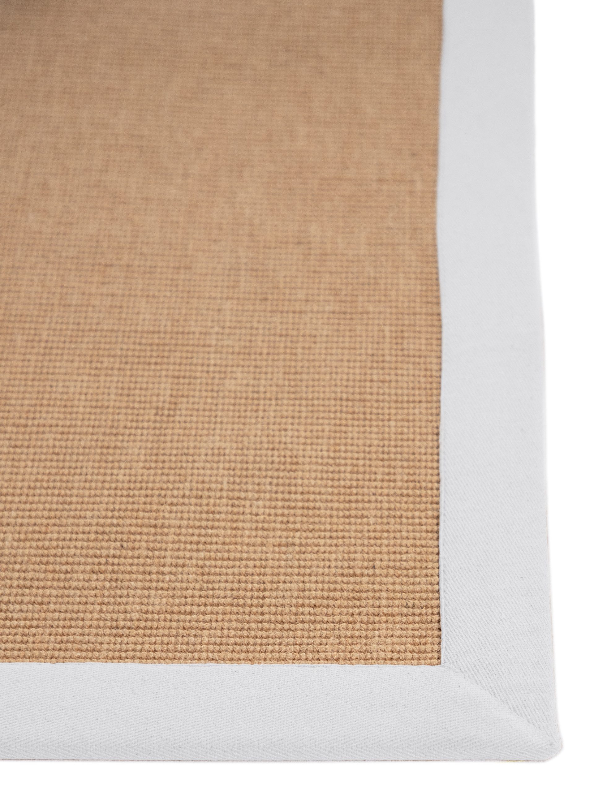 carpetfine Sisalkleed Sisal met gekleurd randdessin, antislip achterzijde