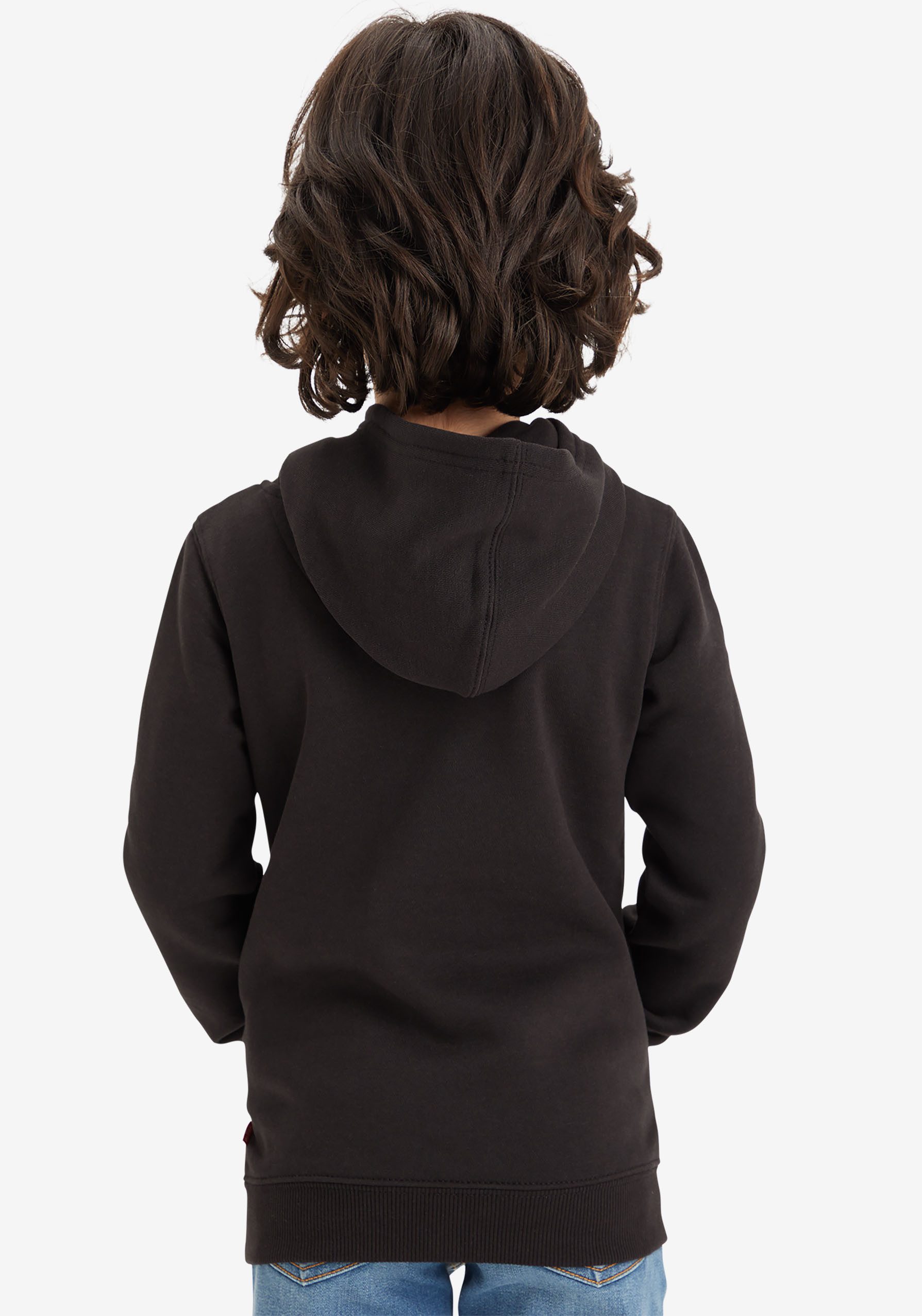 Levi's Kidswear Hoodie LVB BATWING FILL HOODIE