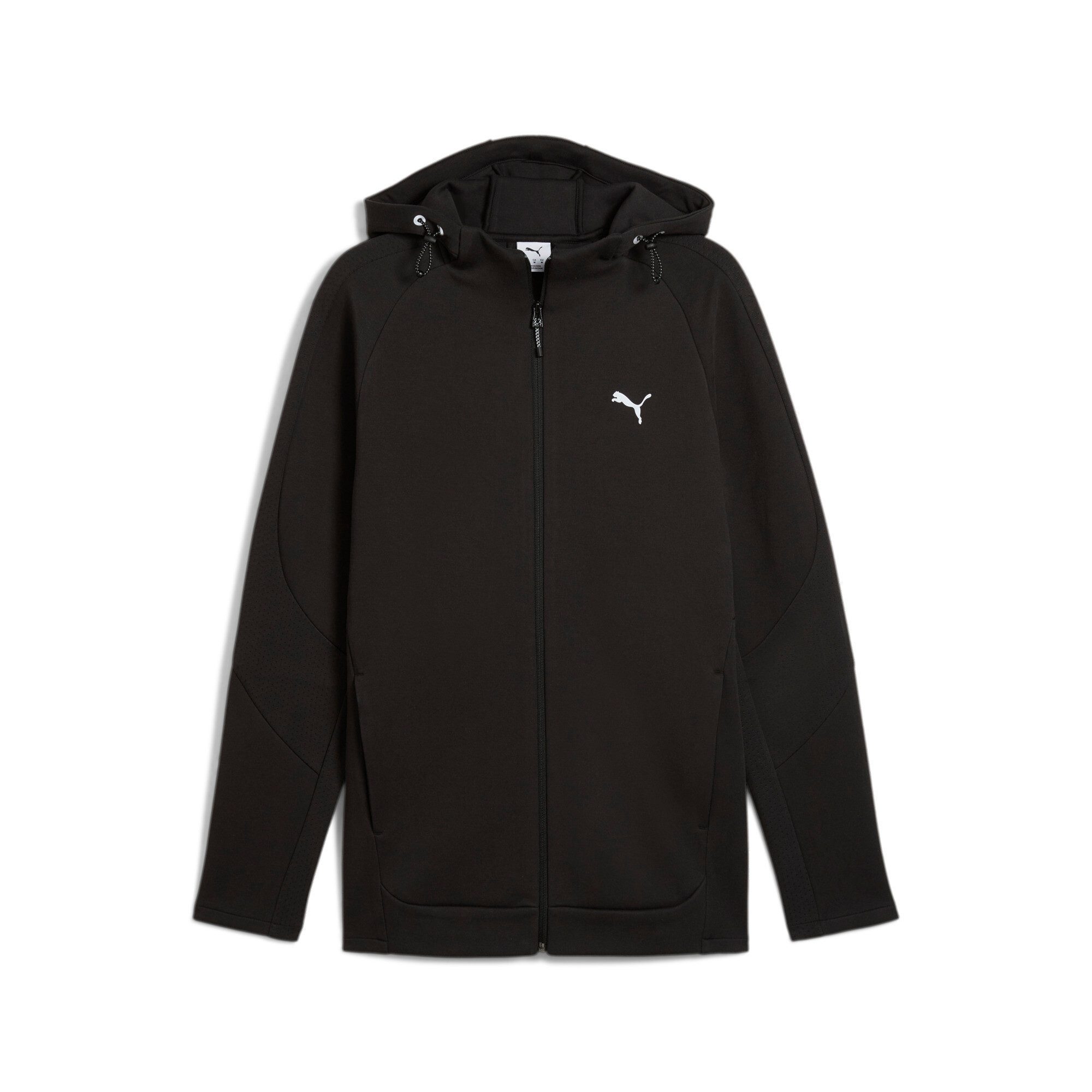 PUMA Hoodie EVOSTRIPE FULL-ZIP HOODIE DK heren hoodies maat S zwart