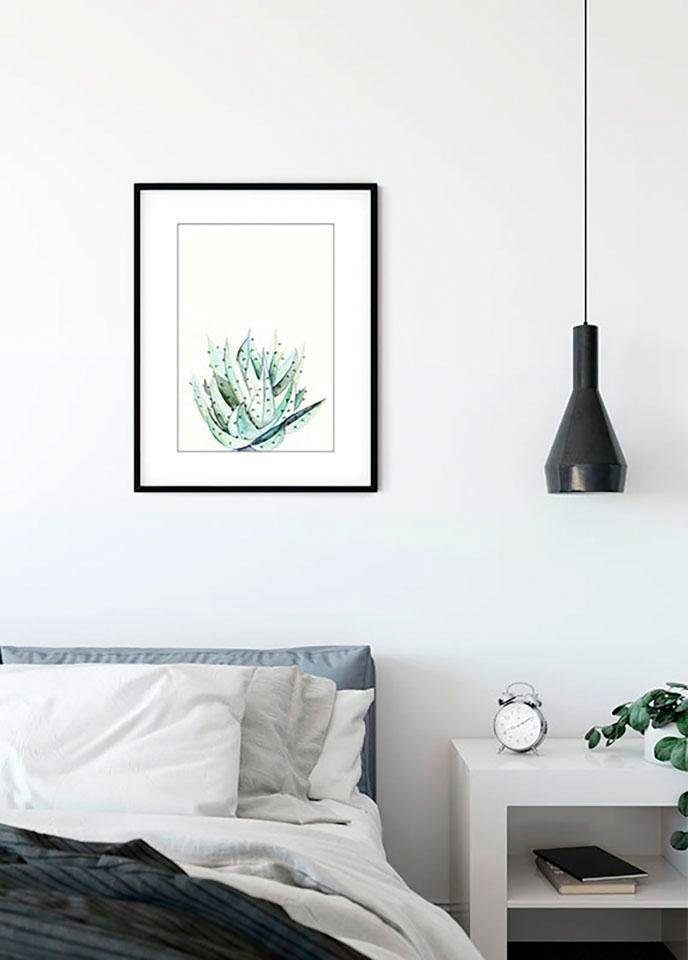 Komar Wanddecoratie Aloe Watercolor Wanddecoratie - zonder lijst (1 stuk)