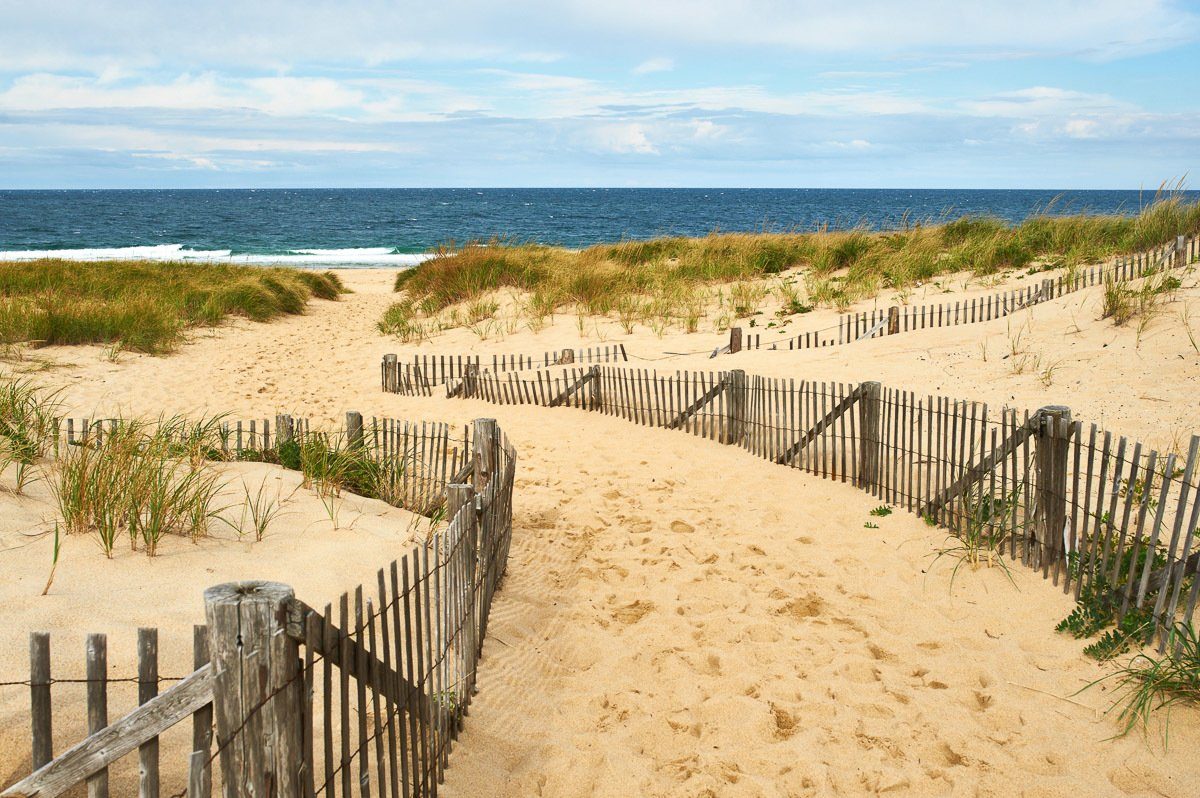 papermoon fotobehang cape cod duinen vliesbehang, eersteklas digitale print multicolor