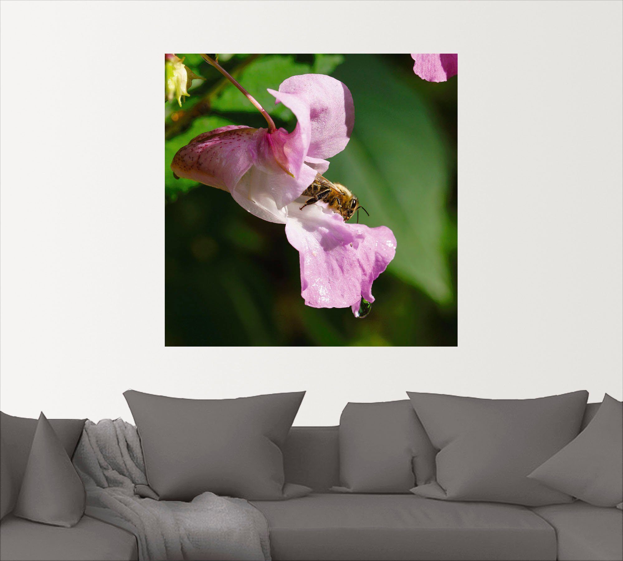 Artland Artprint Een bij bezoekt een grote bloem als artprint van aluminium, artprint op linnen, muursticker of poster in verschillende maten