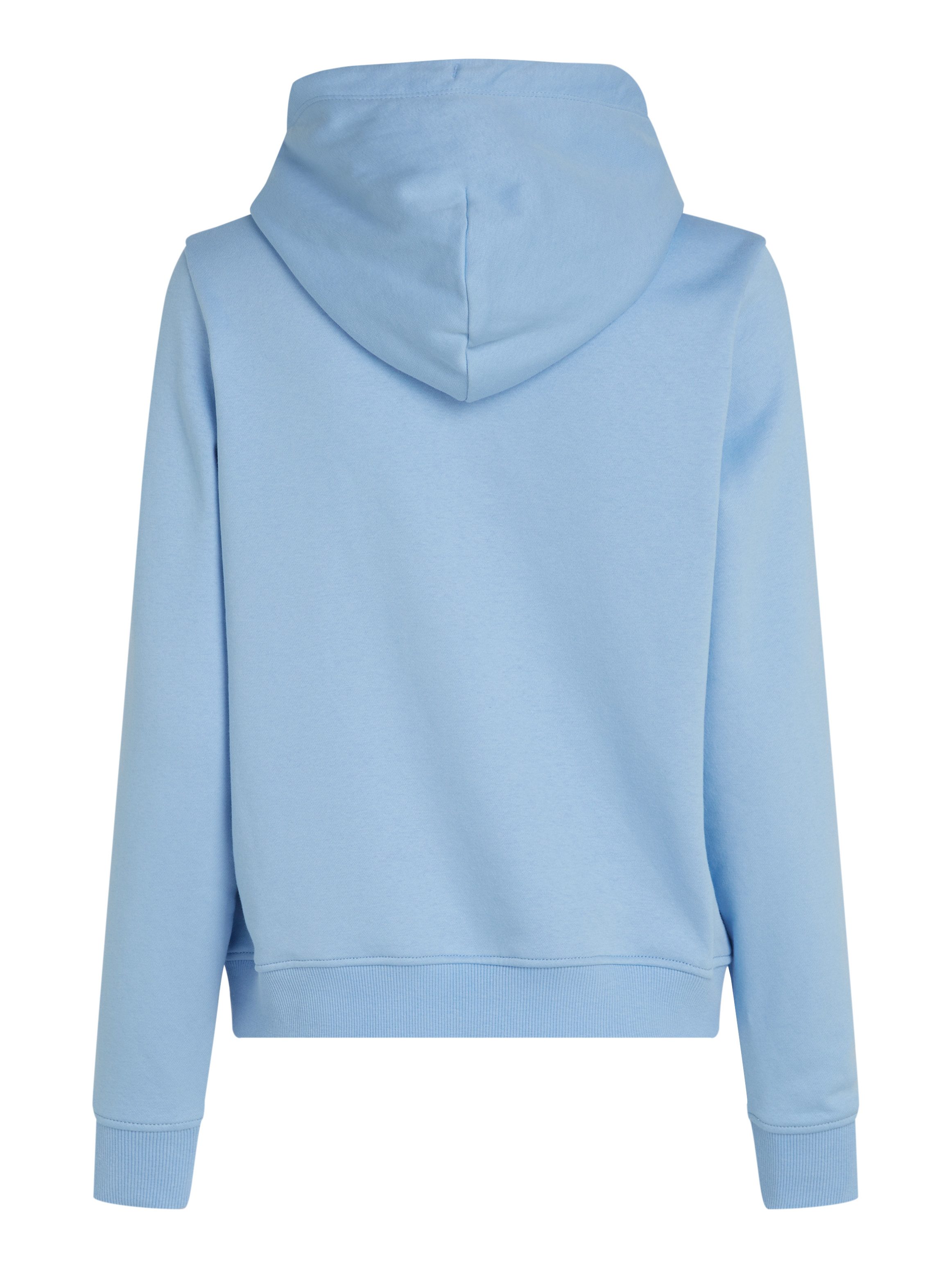 TOMMY JEANS Hoodie TJW REG LINEAR HOODIE met een logo-opschrift