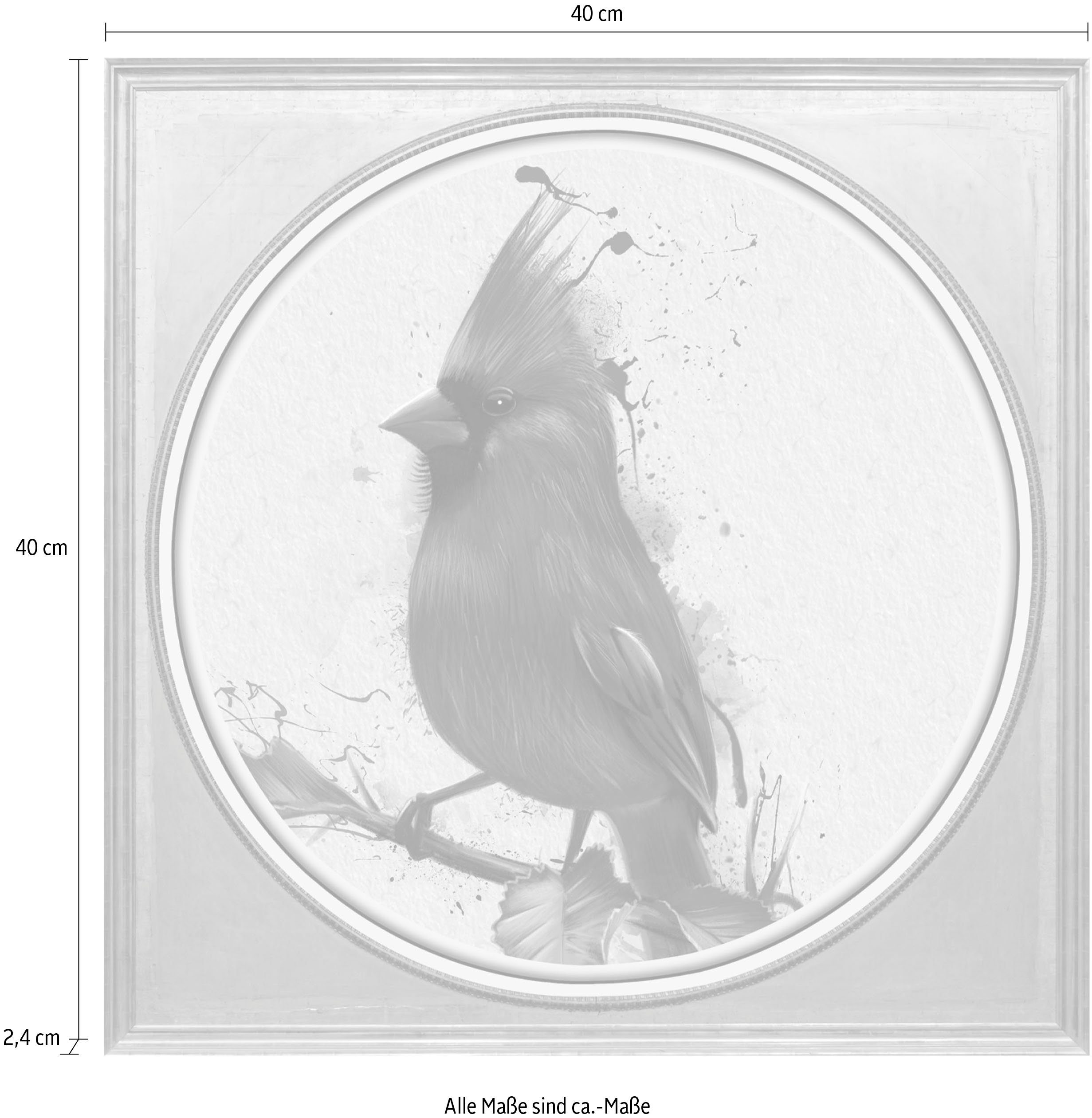 queence Artprint op acrylglas Roodborst Fine Art-print in galeriekwaliteit