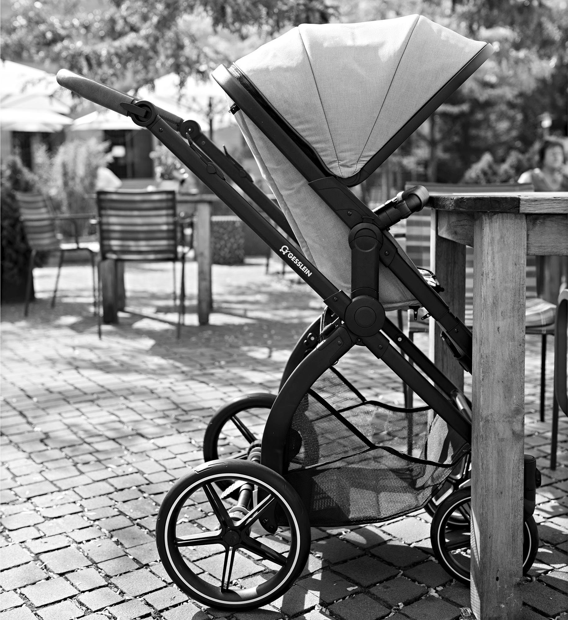 Gesslein Combi-kinderwagen FX4 Soft+ met opzetstuk Life, zwart/tabak, zand