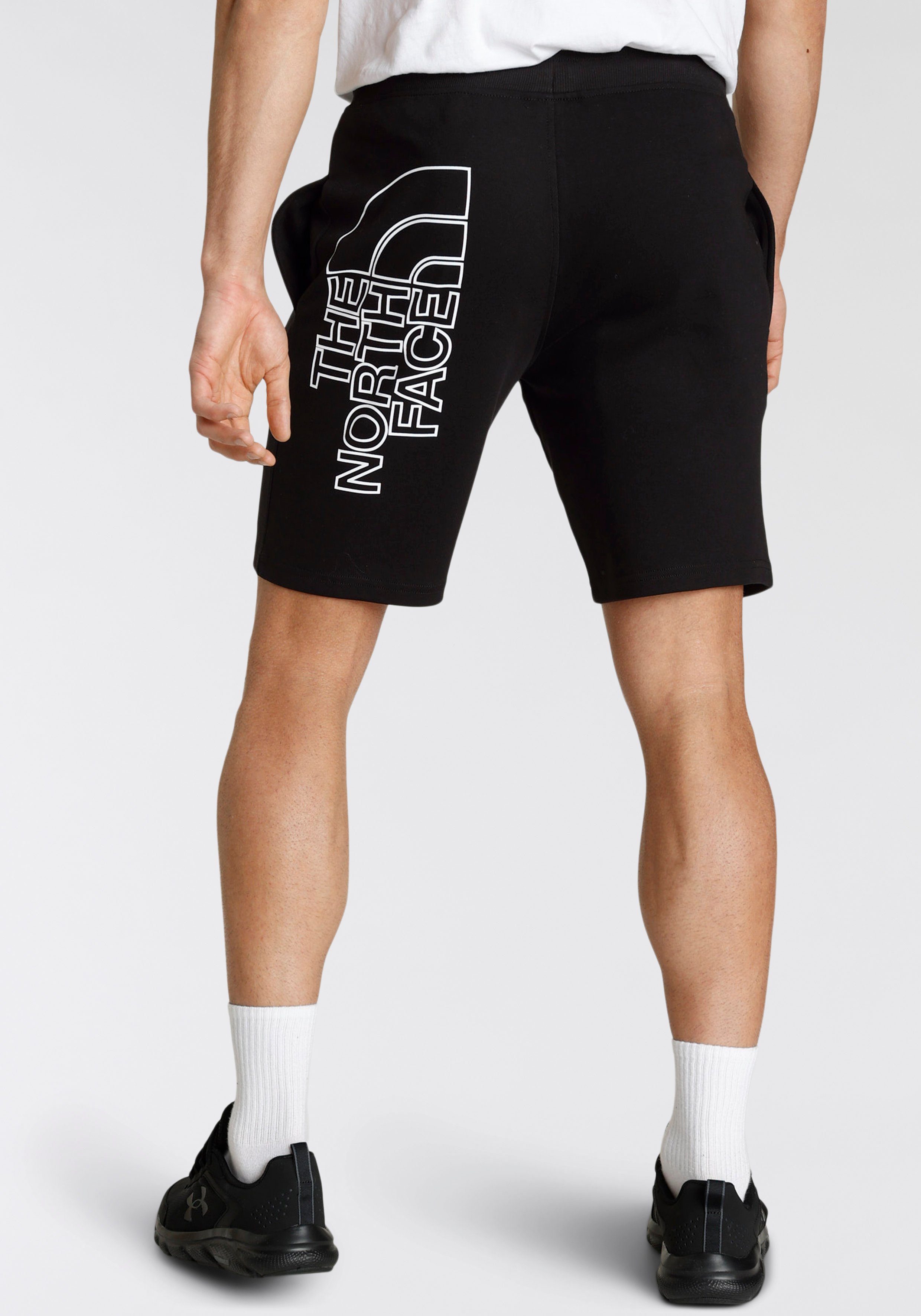 The North Face Sweatshort NF0A3S4FJK31 M Graphic Short light,