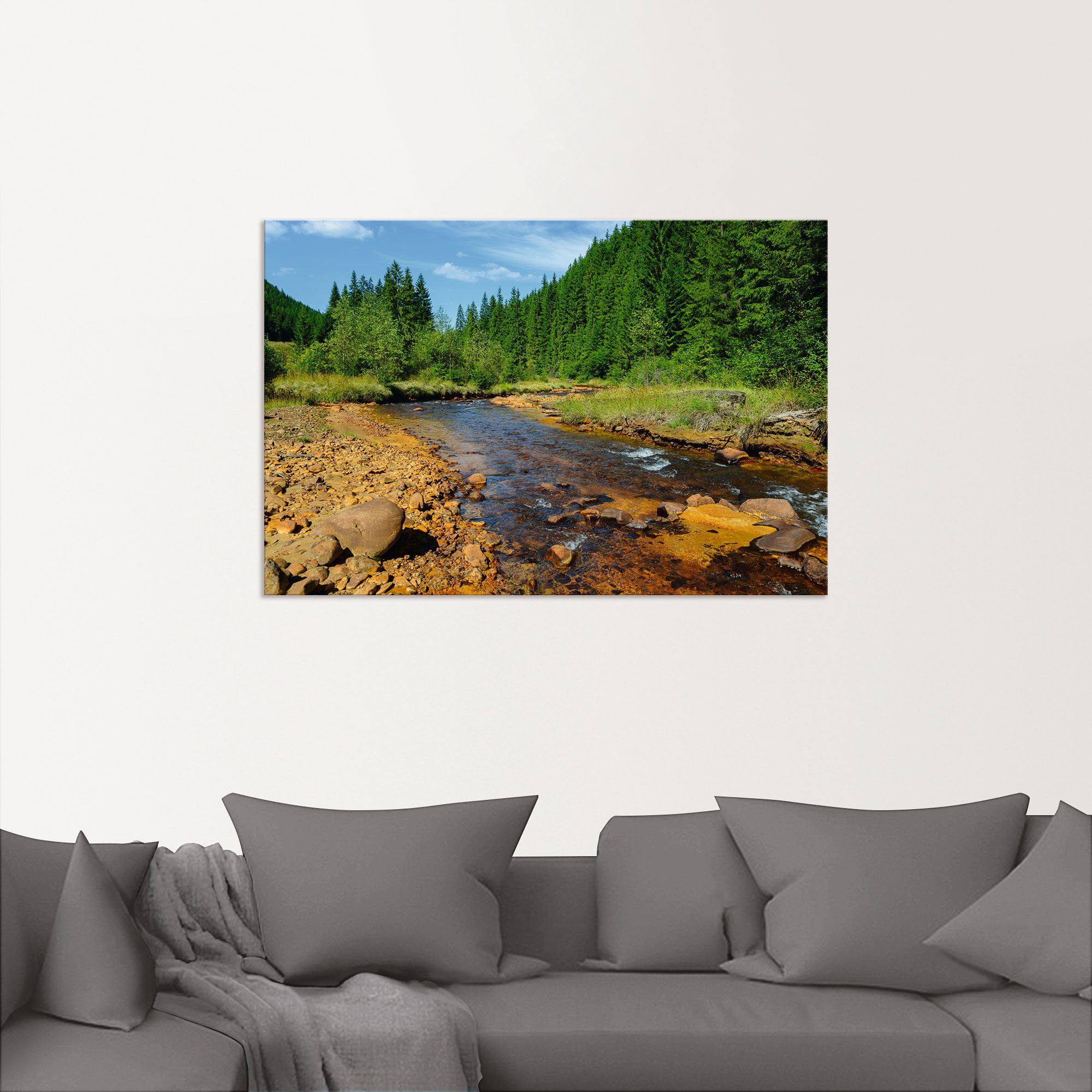 Artland Artprint Rivier Neagra, Caliman-nationaalpark als artprint van aluminium, artprint voor buiten, poster in diverse formaten