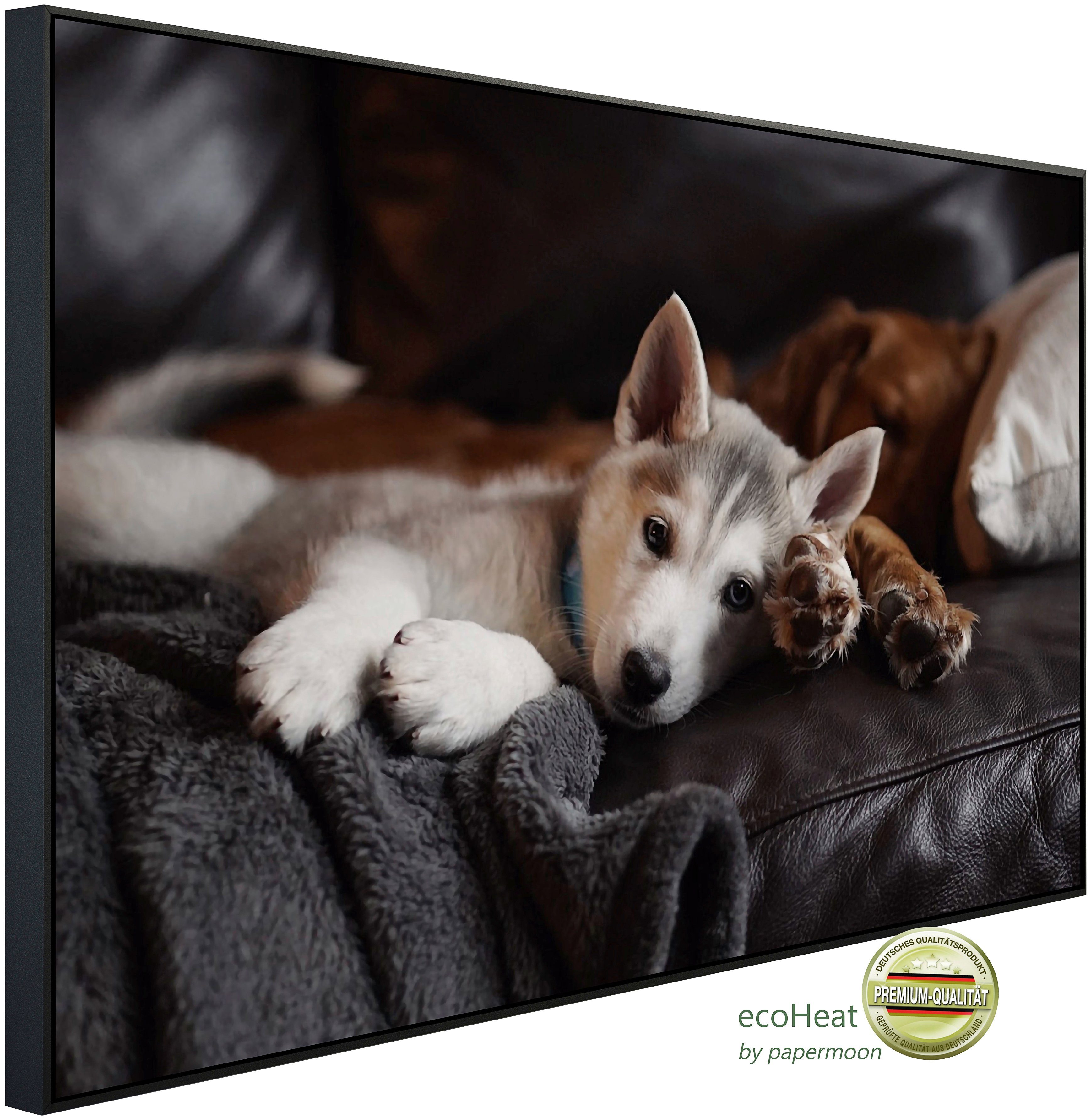 Papermoon Infraroodverwarming Pups op bank zeer aangename stralingswarmte verwarmingen multicolor