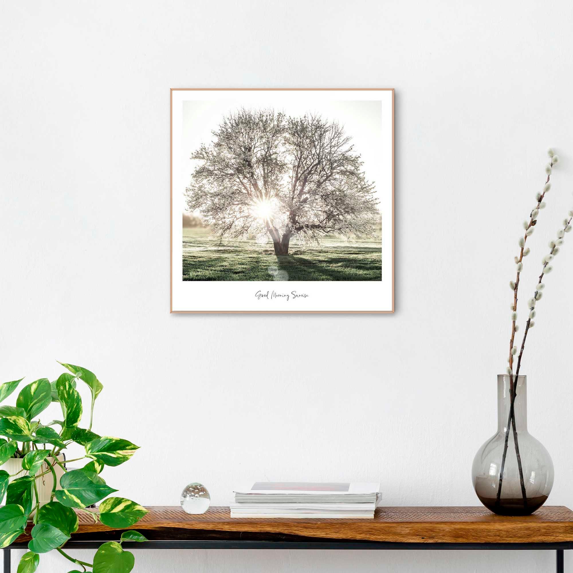 Reinders! Poster Ochtendzon deurposters groen