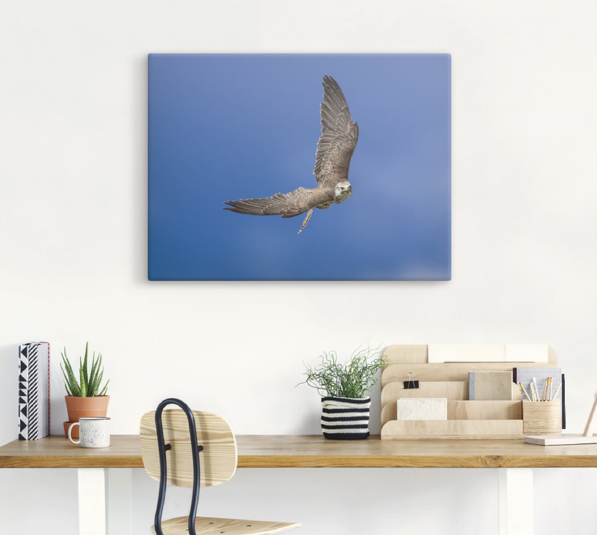 Artland Artprint De valk als artprint op linnen, poster in verschillende formaten maten