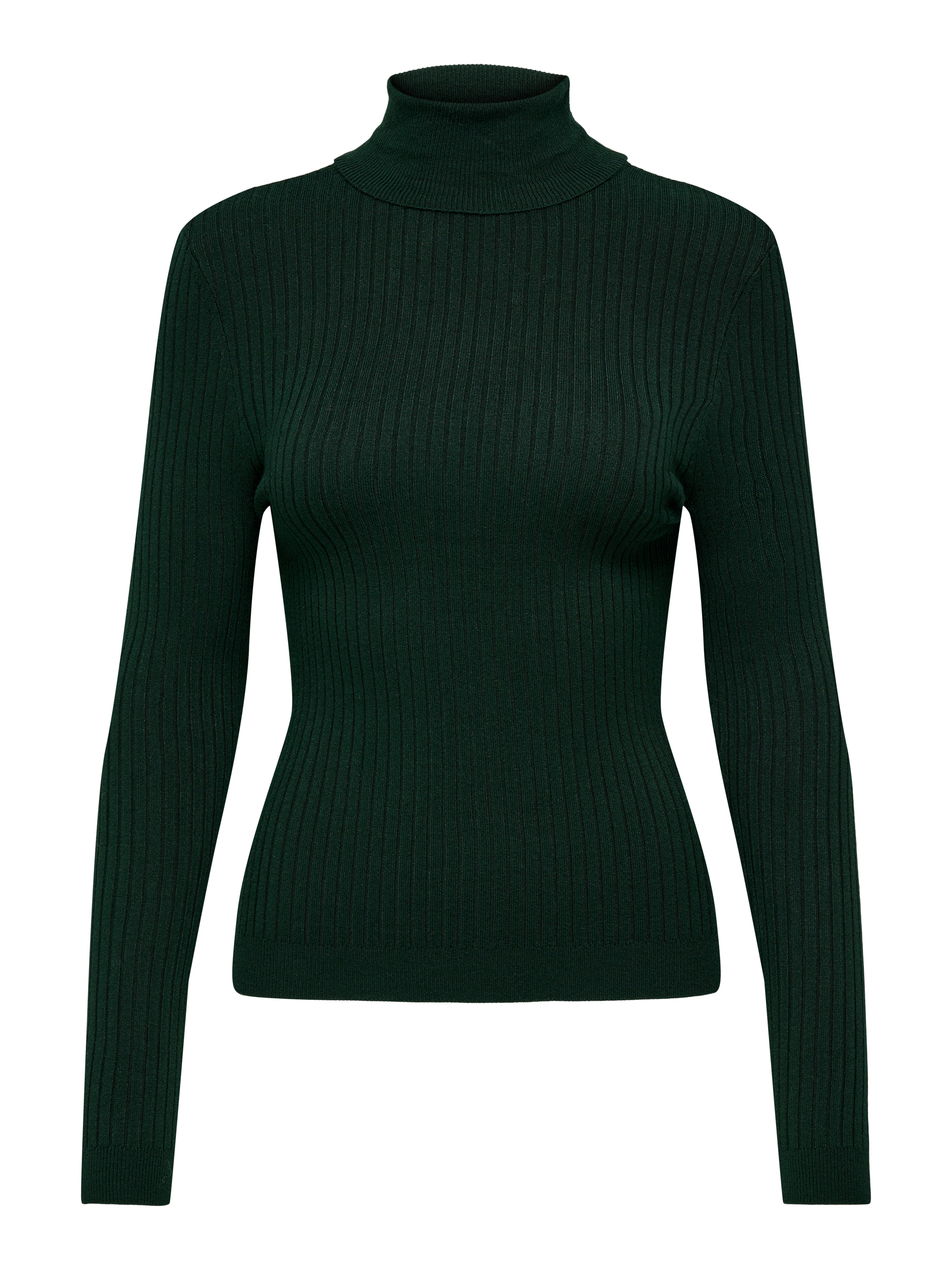 Only Coltrui ONLKAROL L/S ROLLNECK PULLOVER KNT NOOS