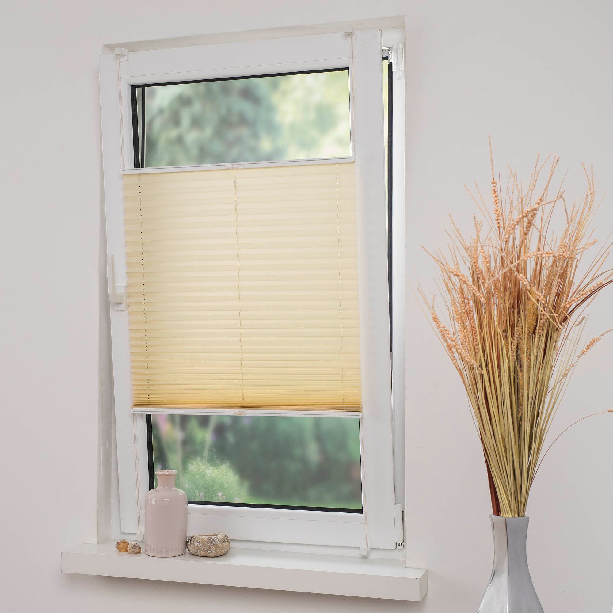 Liedeco Plissé Klemmfix-plisségordijn Gespannen (1 stuk) plisségordijnen maat H/B: 220/60 cm beige
