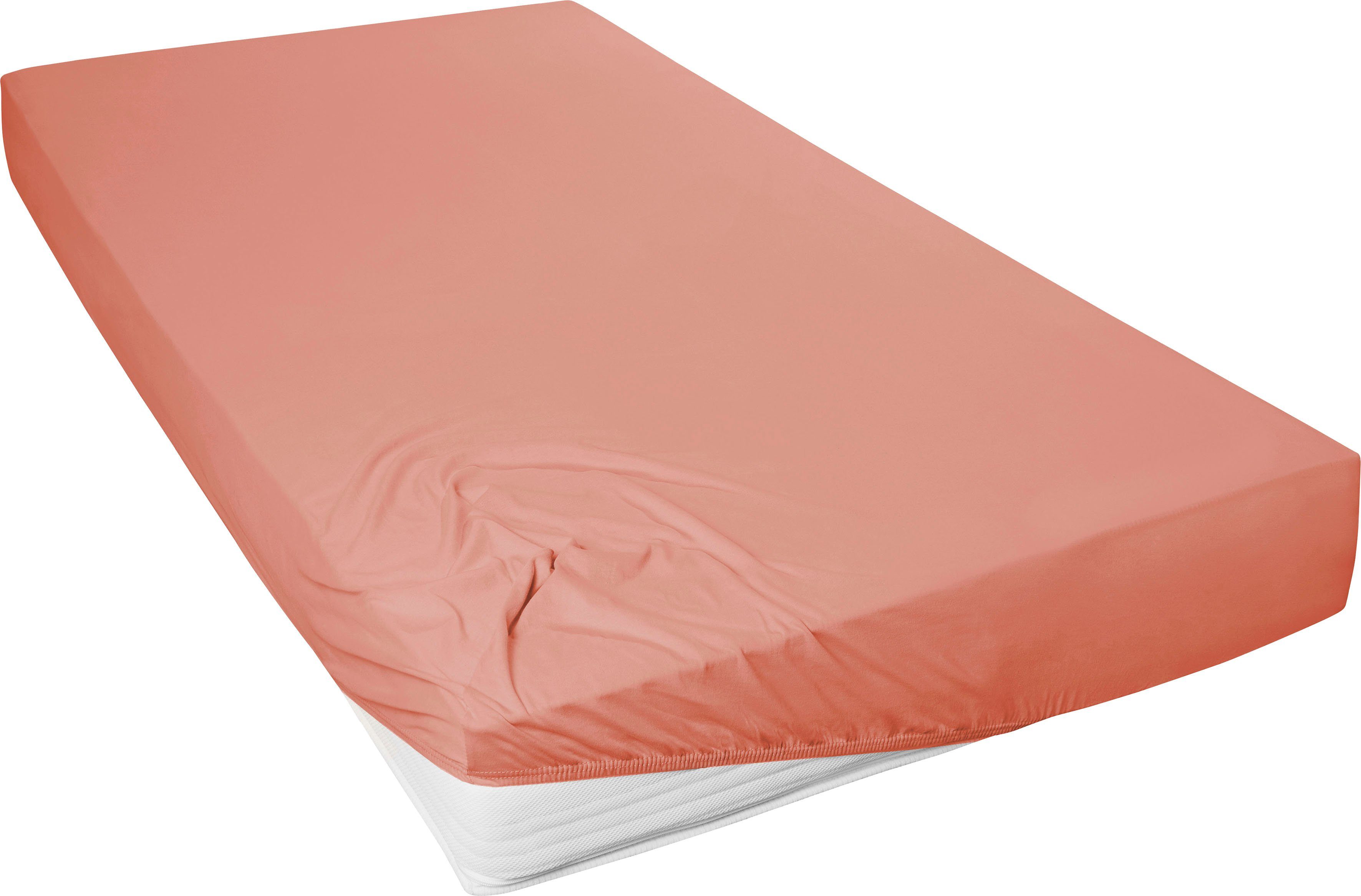 Primera Hoeslaken Mako-fijnjersey hoeslaken Geschikt voor standaardmatrassen tot 22 cm, 100% katoen (1 stuk) hoeslakens maat 180-200 cm x 200 cm rood