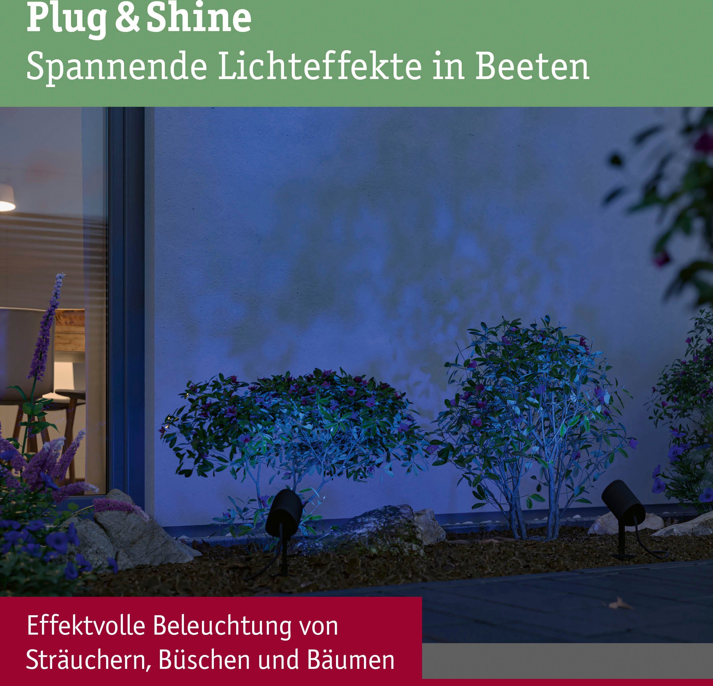 Paulmann Led-tuinlamp Plug & Shine Spot Shira