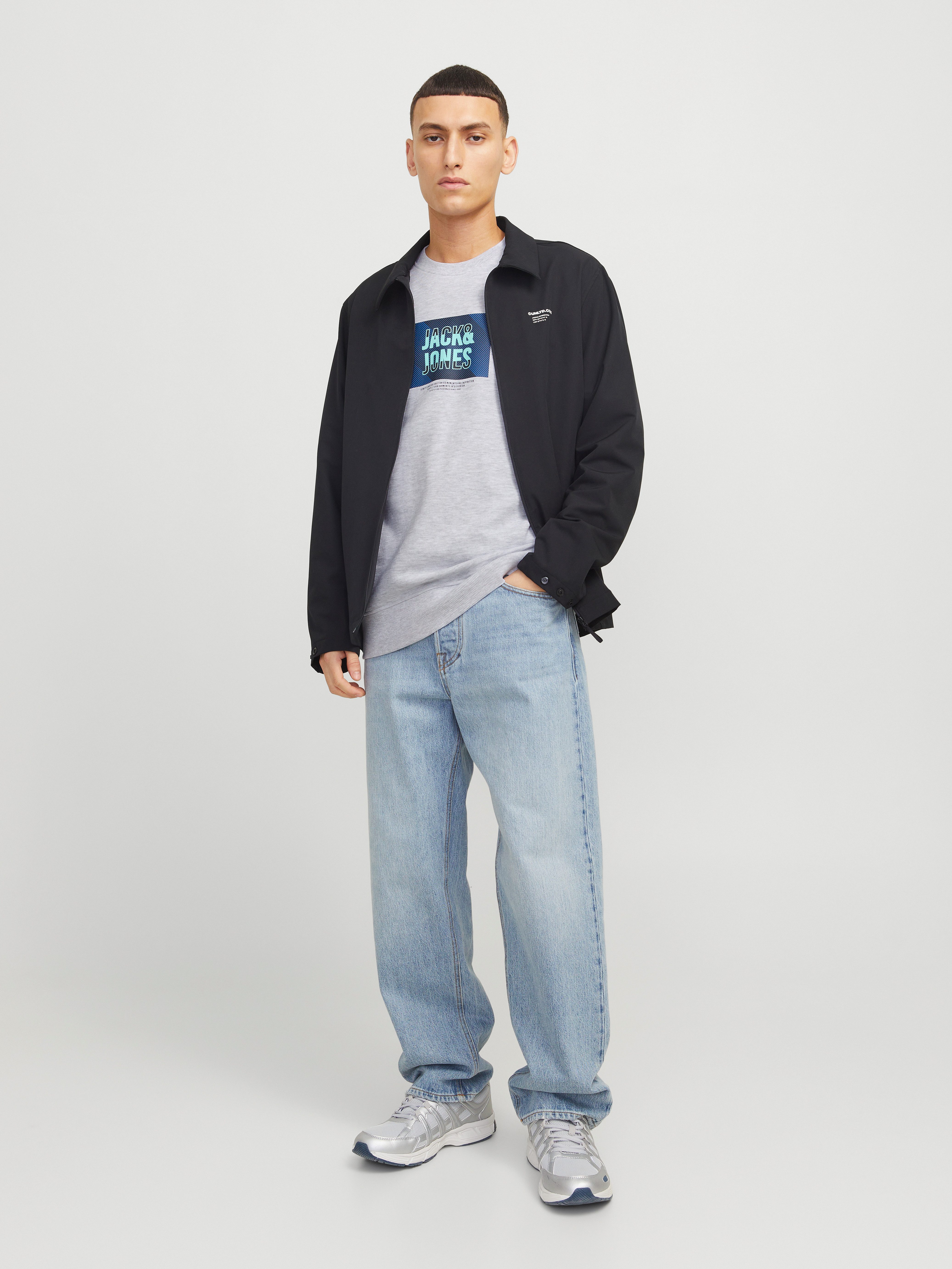 Jack & Jones Sweatshirt JJHUDSON SWEAT CREW NECK