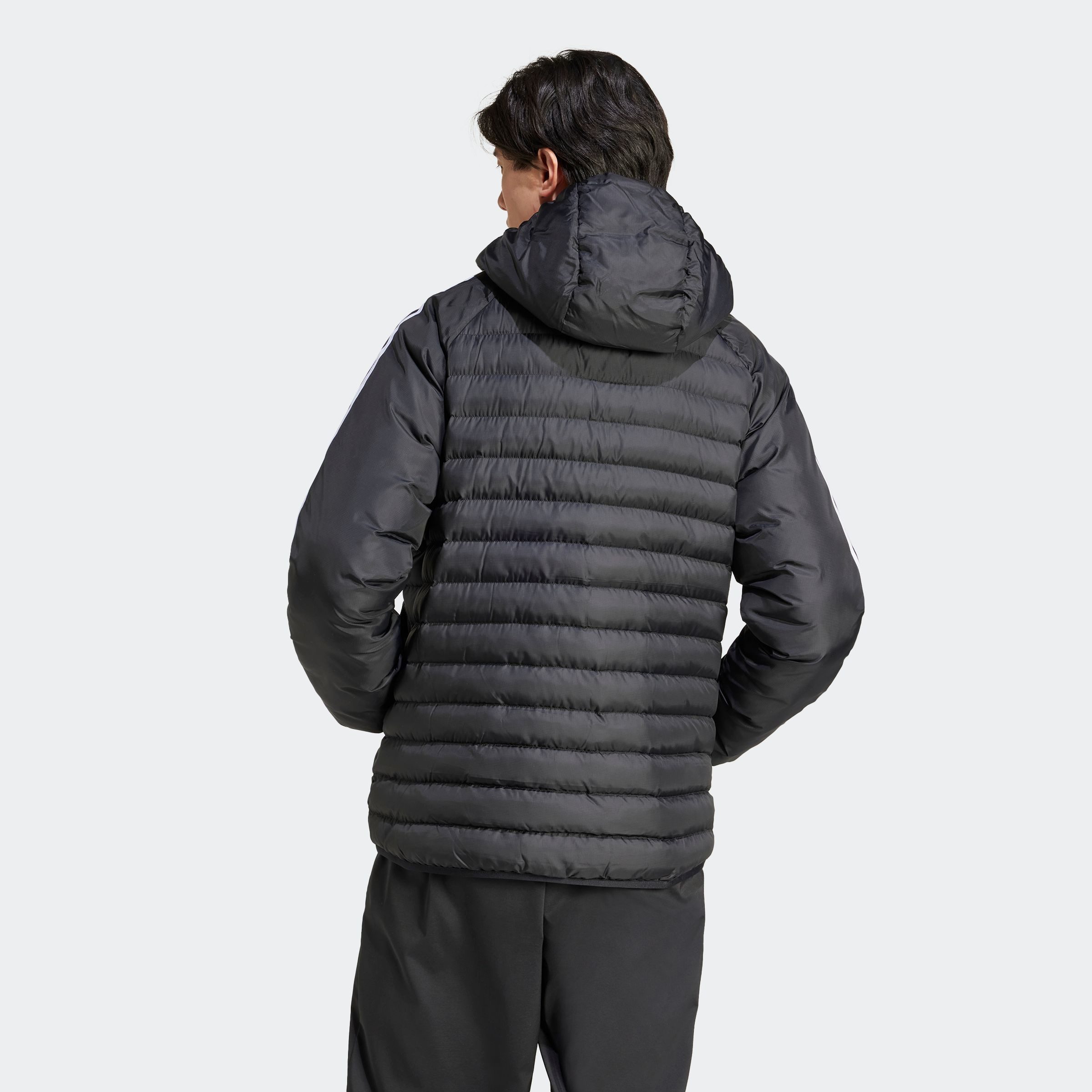 adidas Originals Gewatteerde jas PAD HOODED JKT