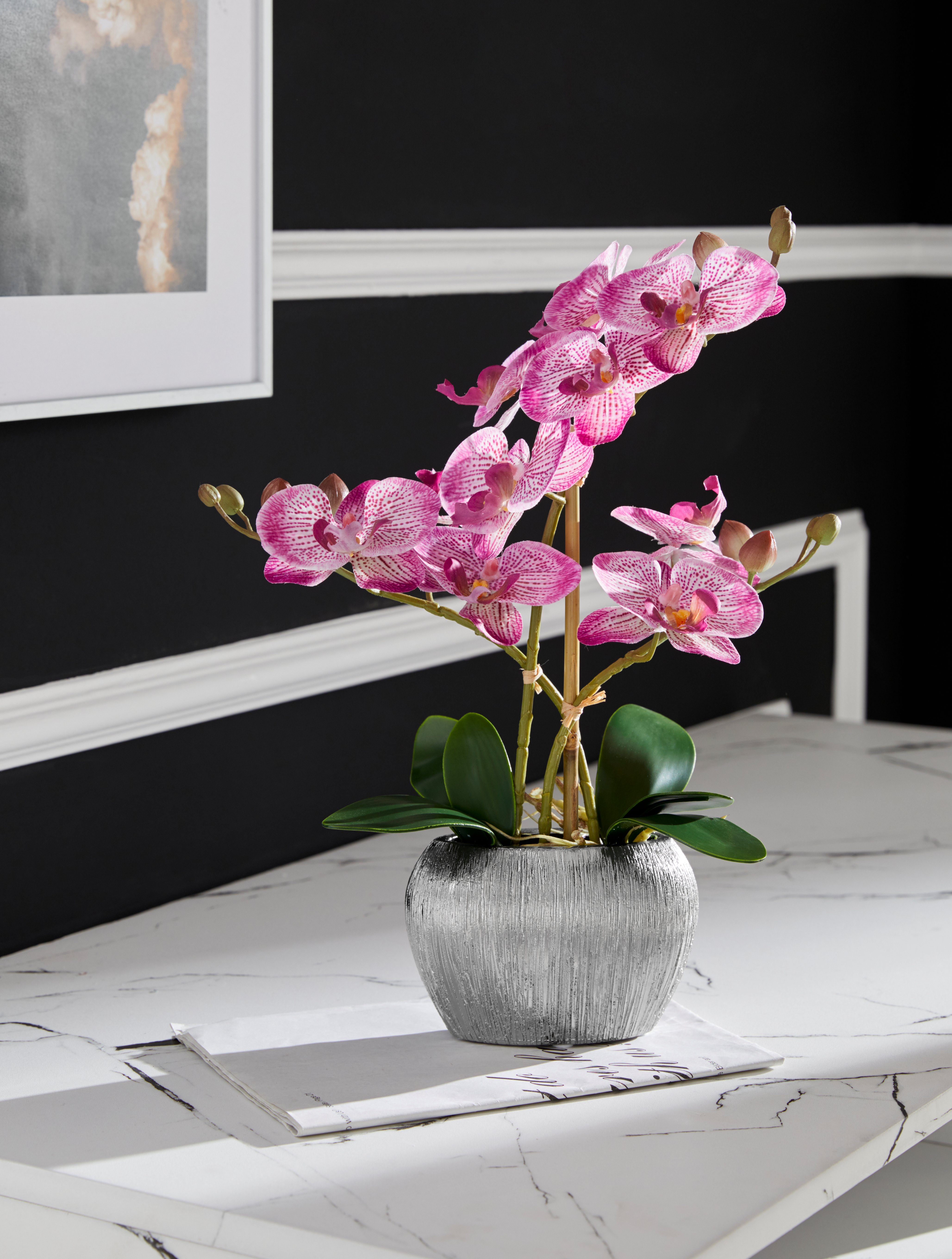 Home affaire Kunstplant Orchidee Kunstorchidee, in een pot (1 stuk)