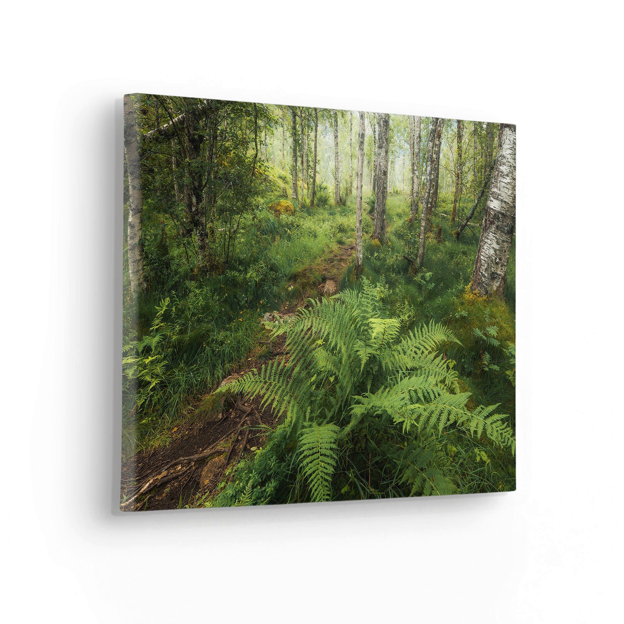Komar Artprint op linnen Mystic Birch Grove - Afmeting 40 x 30 cm (1 stuk)