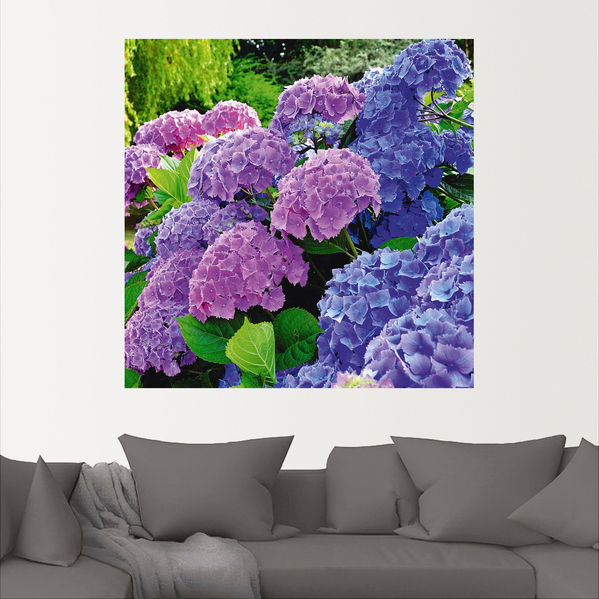 Artland Artprint Hortensia's in de tuin als artprint van aluminium, artprint voor buiten, artprint op linnen, poster, muursticker