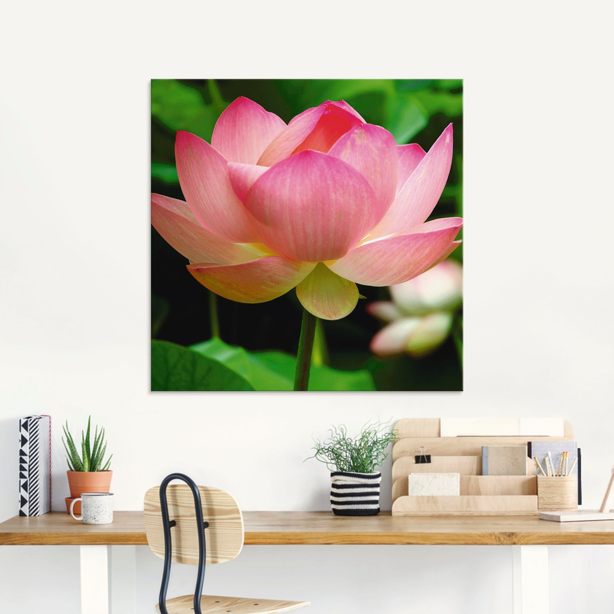 Artland Print op glas Lotus - waterlelie in verschillende maten