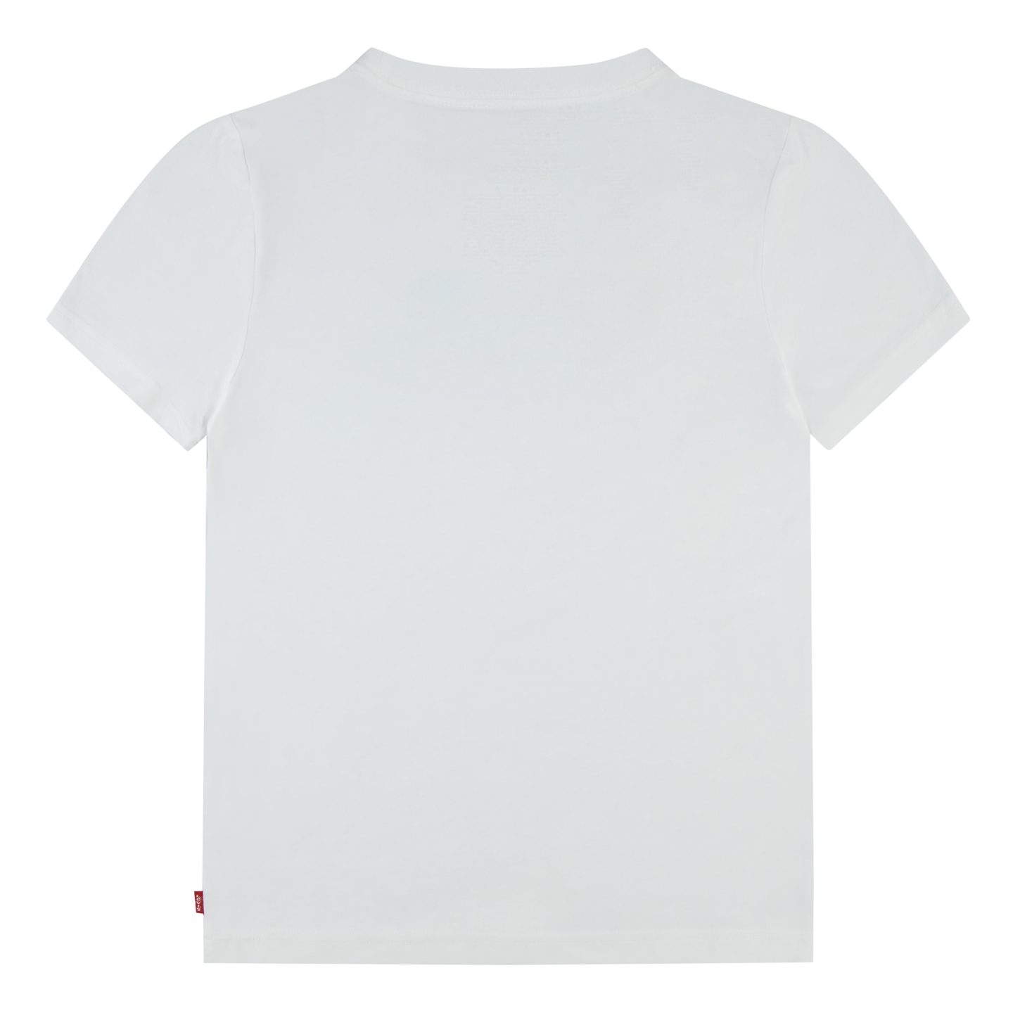 Levi's Kidswear T-shirt met batwing-logo-print met landschap in 3d-look