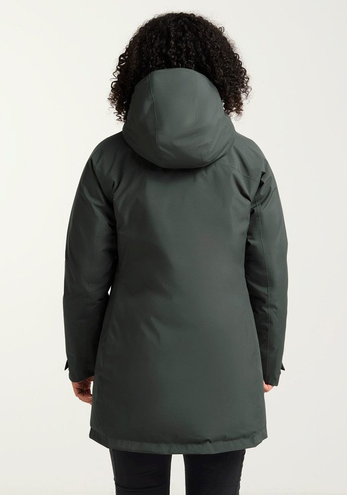 Jack Wolfskin Donsjack ICECAPE 2L DOWN INS JKT W RDS