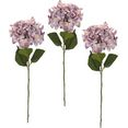i.ge.a. kunstbloem hortensia set van 3 (3 stuks) roze