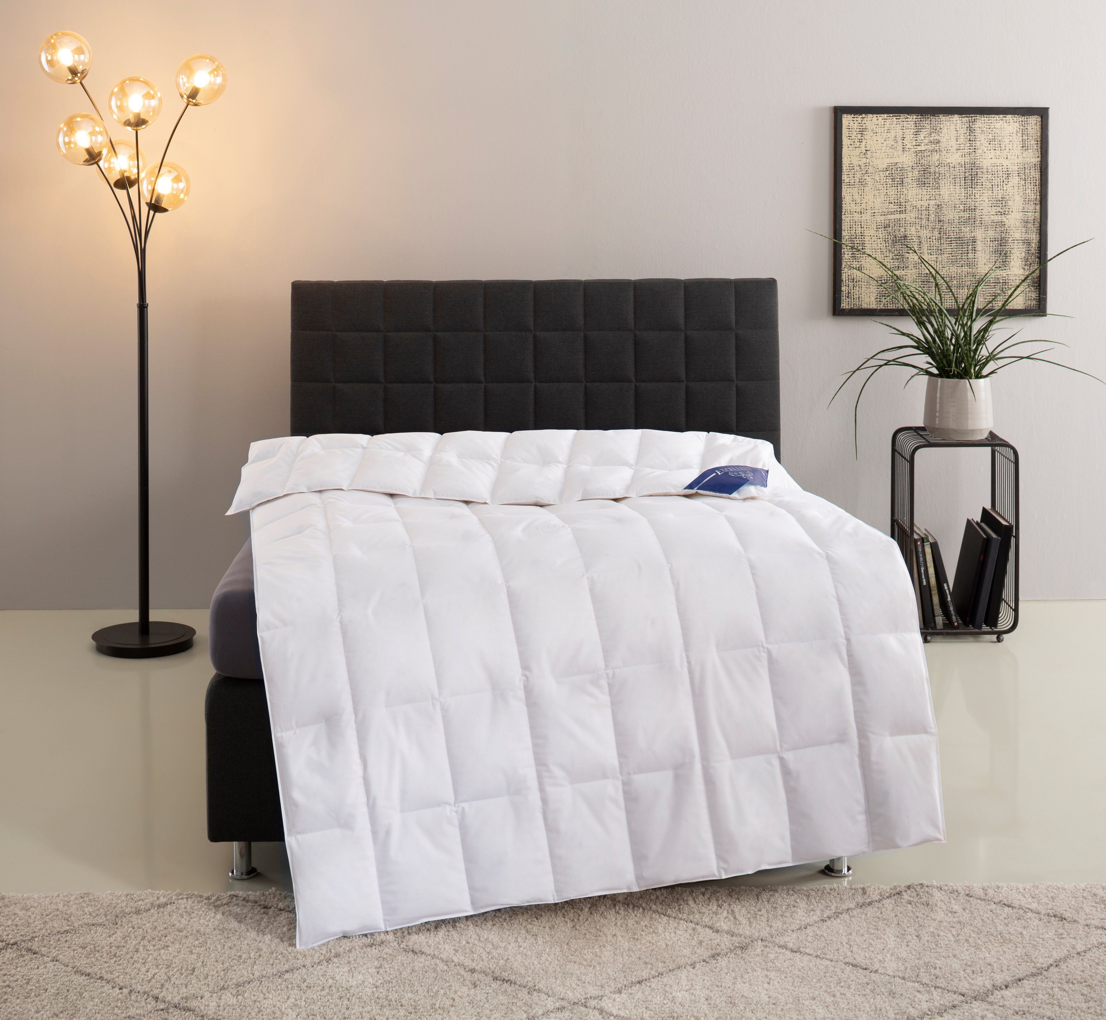 Excellent Donzen dekbed Venetië Dekbed 135 x 200 cm, 155 x 200 cm en andere maten, Made in...