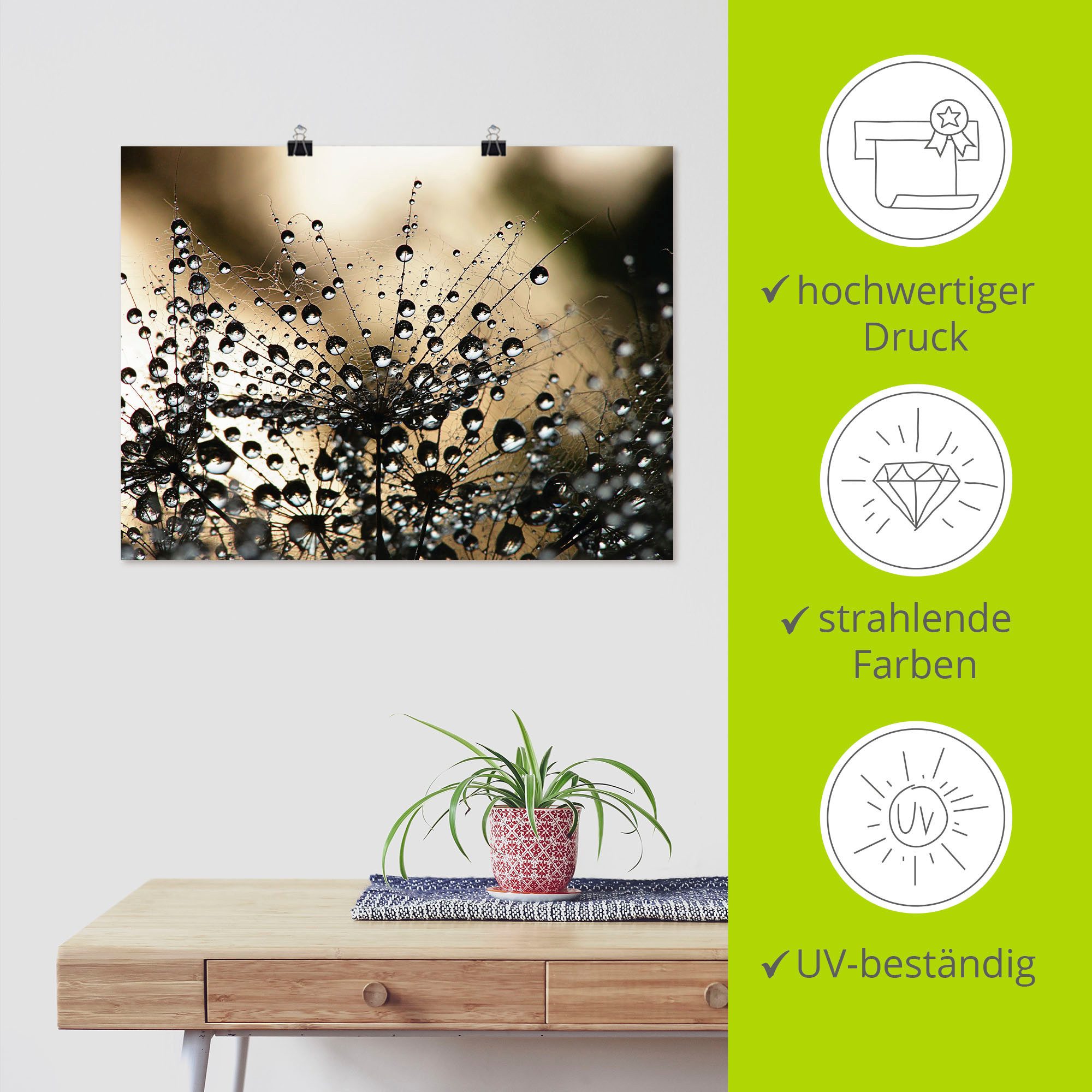 Artland Artprint Natte paardenbloem als artprint van aluminium, artprint voor buiten, artprint op linnen, poster, muursticker