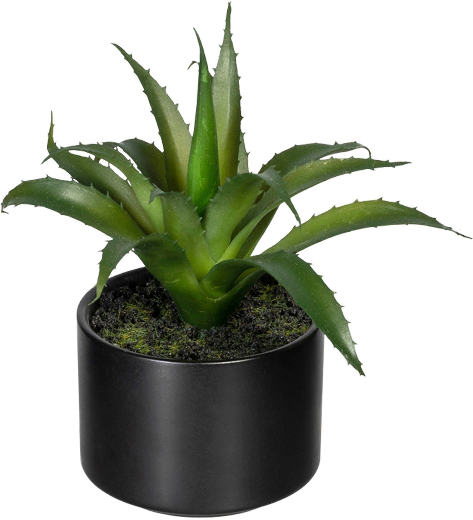 Creativ green Kunst-potplanten Set van aloë, agave en tillandsia (3 stuks)