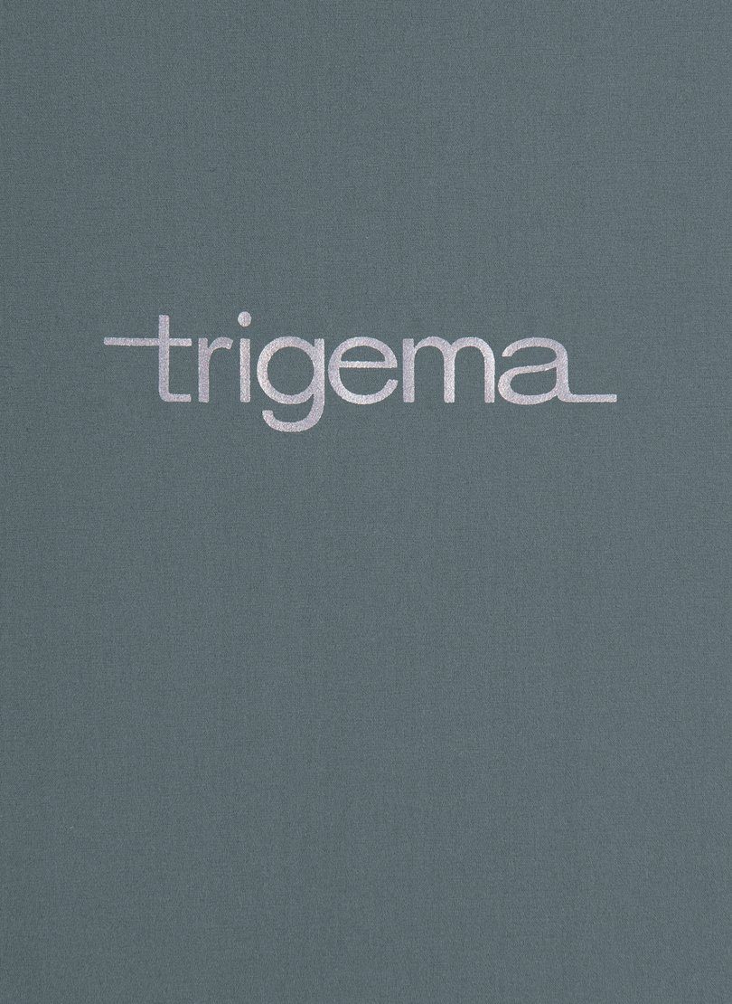 Trigema Jerseybroek TRIGEMA korte sportbroek met binnenslip van netstof (1-delig)