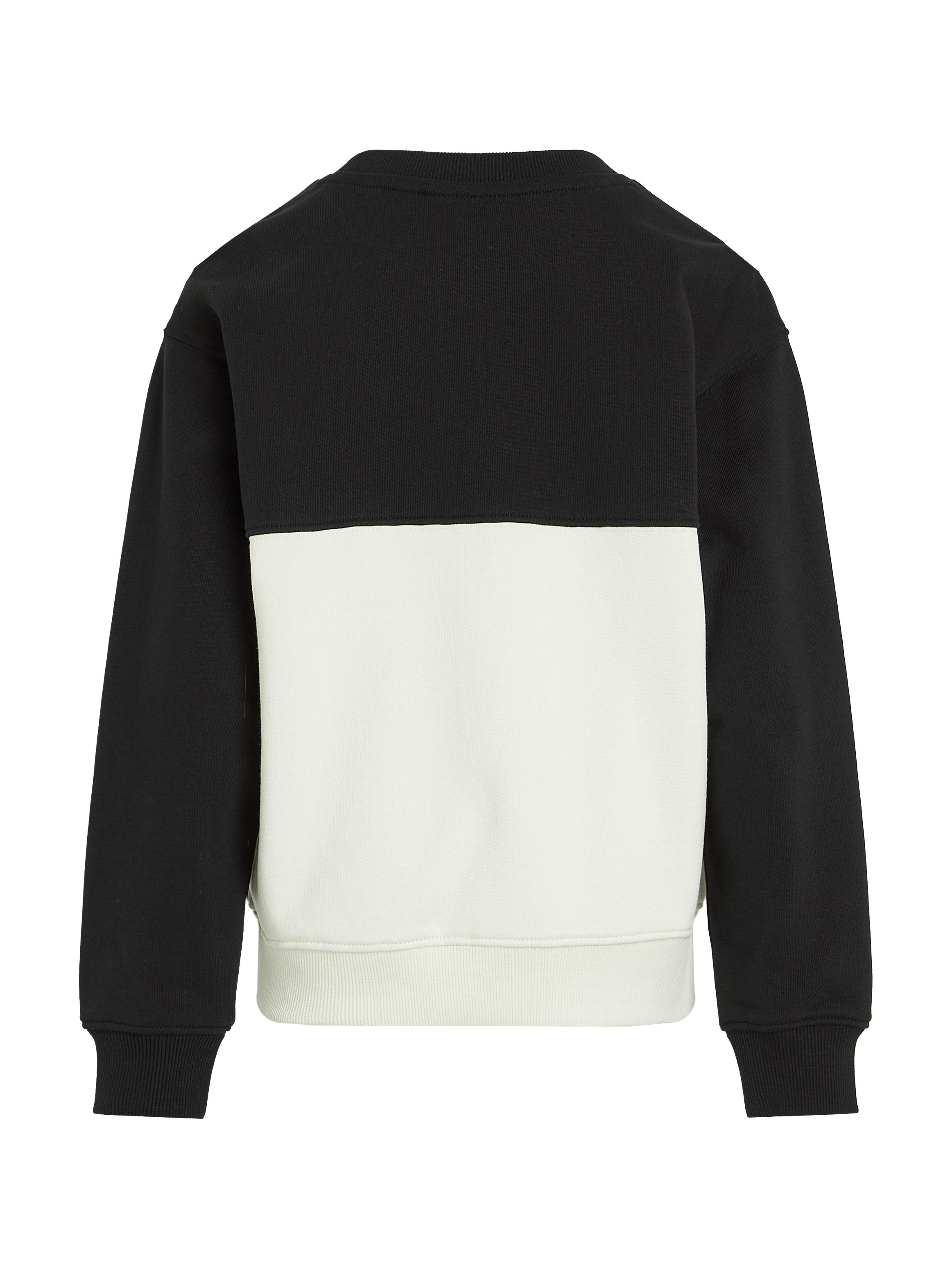 Calvin Klein Sweatshirt COLOR BLOCK TERRY CN in colourblocking-stijl