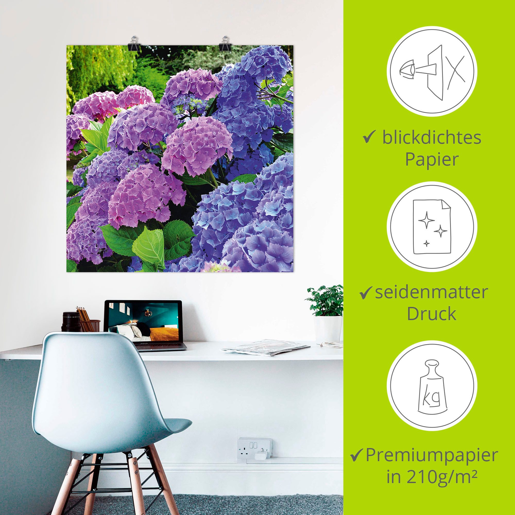 Artland Artprint Hortensia's in de tuin als artprint van aluminium, artprint voor buiten, artprint op linnen, poster, muursticker