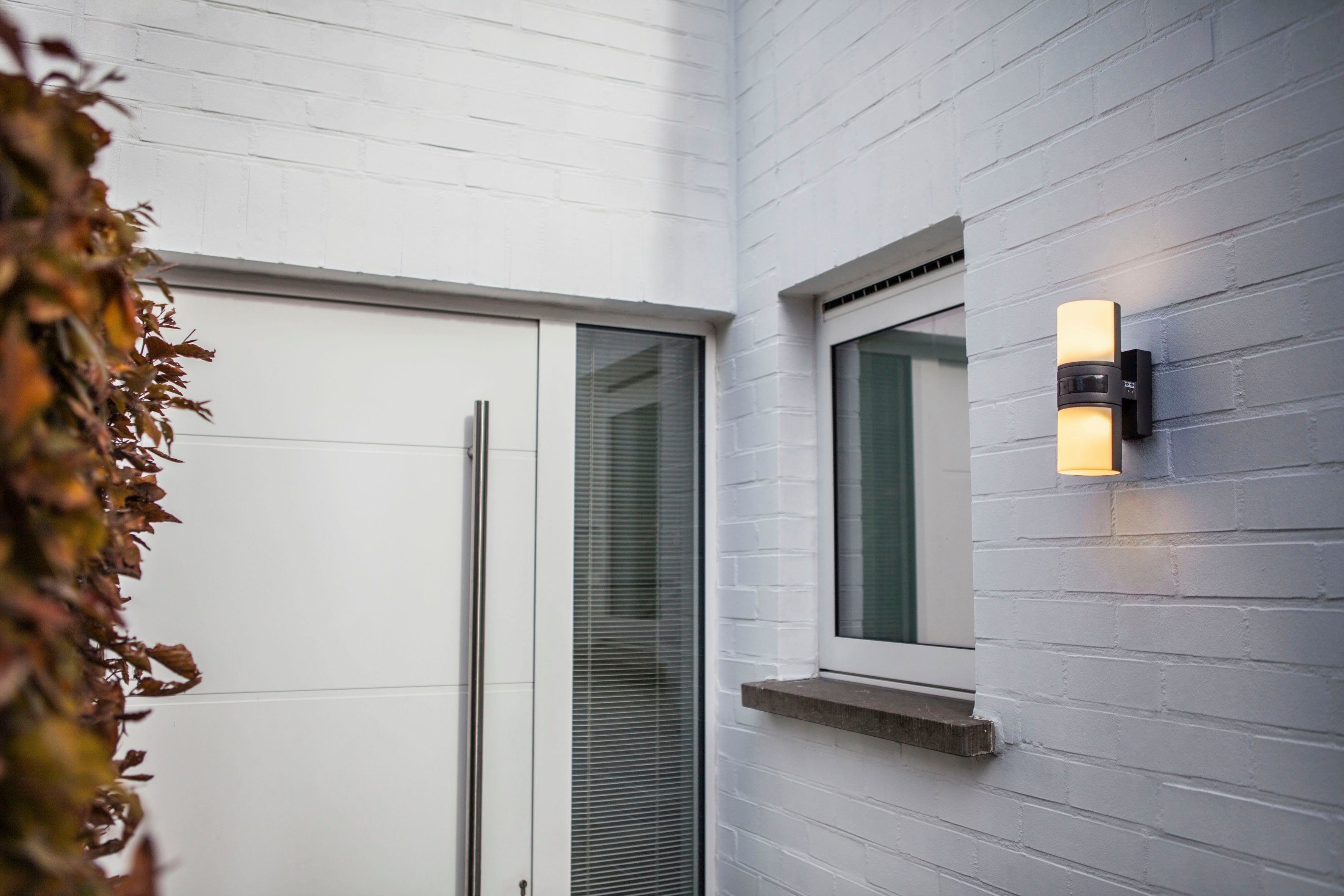LUTEC Ledwandlamp voor buiten CYRA draaibaar (1 stuk)