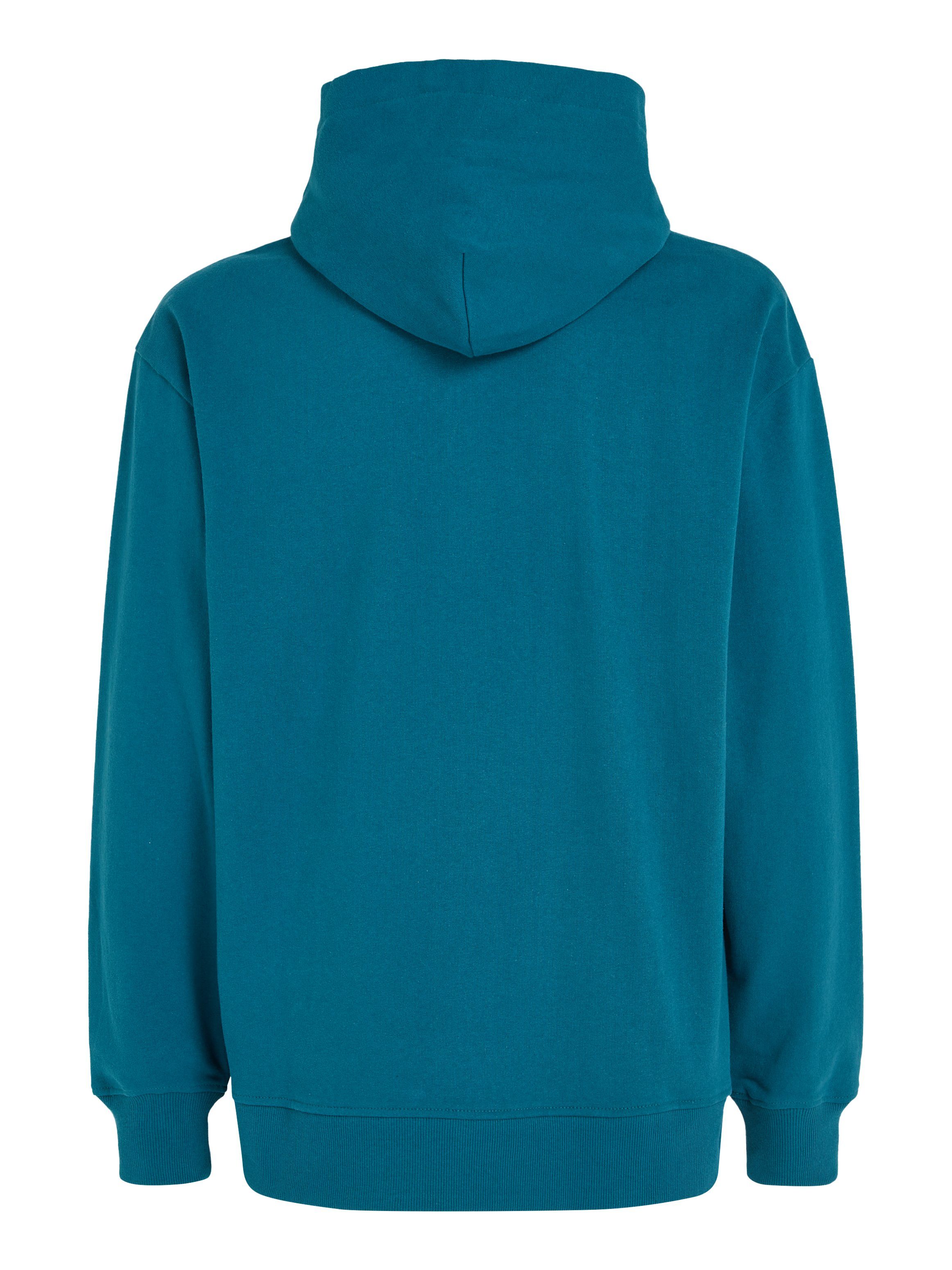 TOMMY JEANS Hoodie TJM RLX SIGNATURE HOODIE EXT met geborduurd handtekening-logo