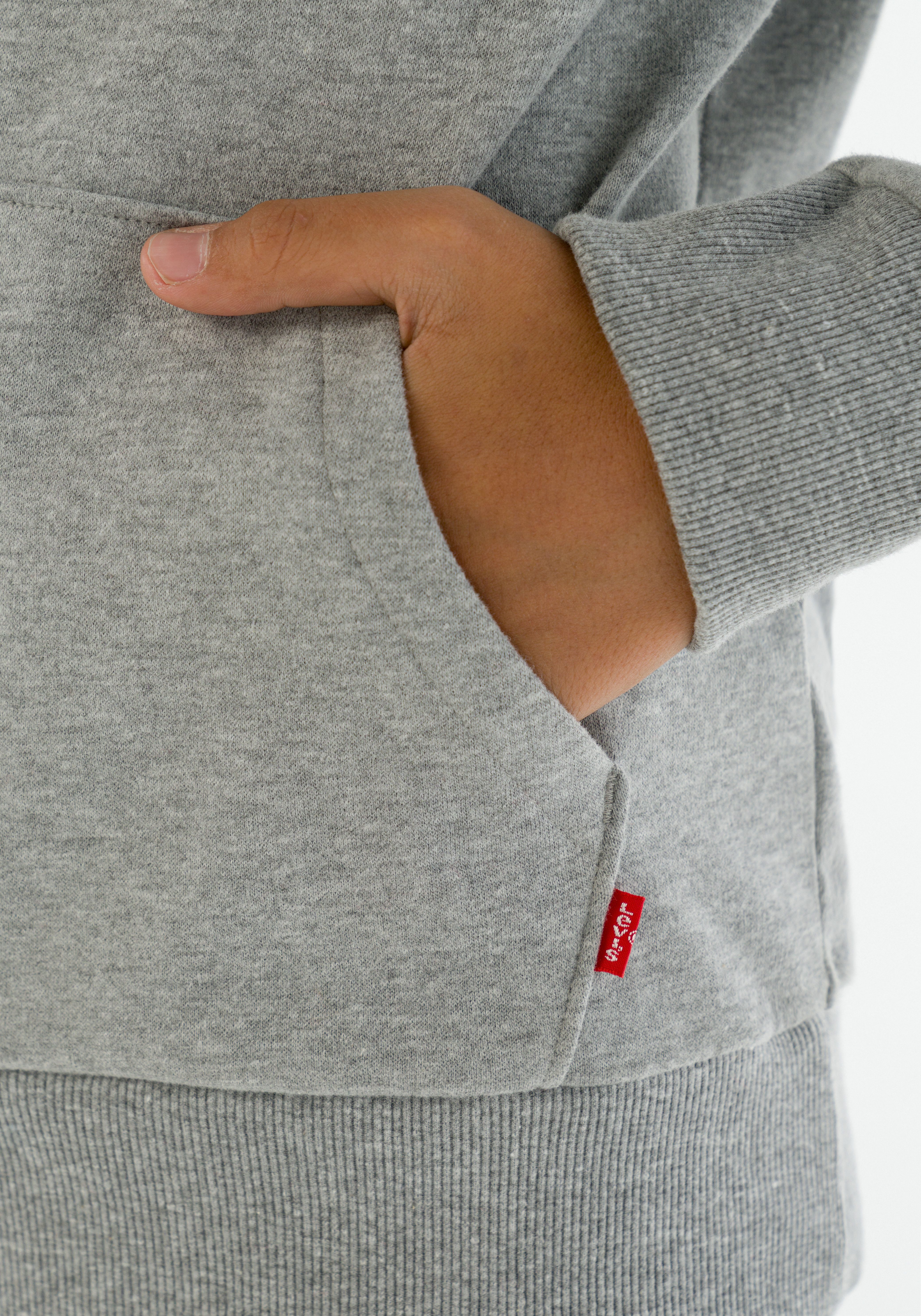 Levi's Kidswear Hoodie LVB BATWING PULLOVER HOODIE
