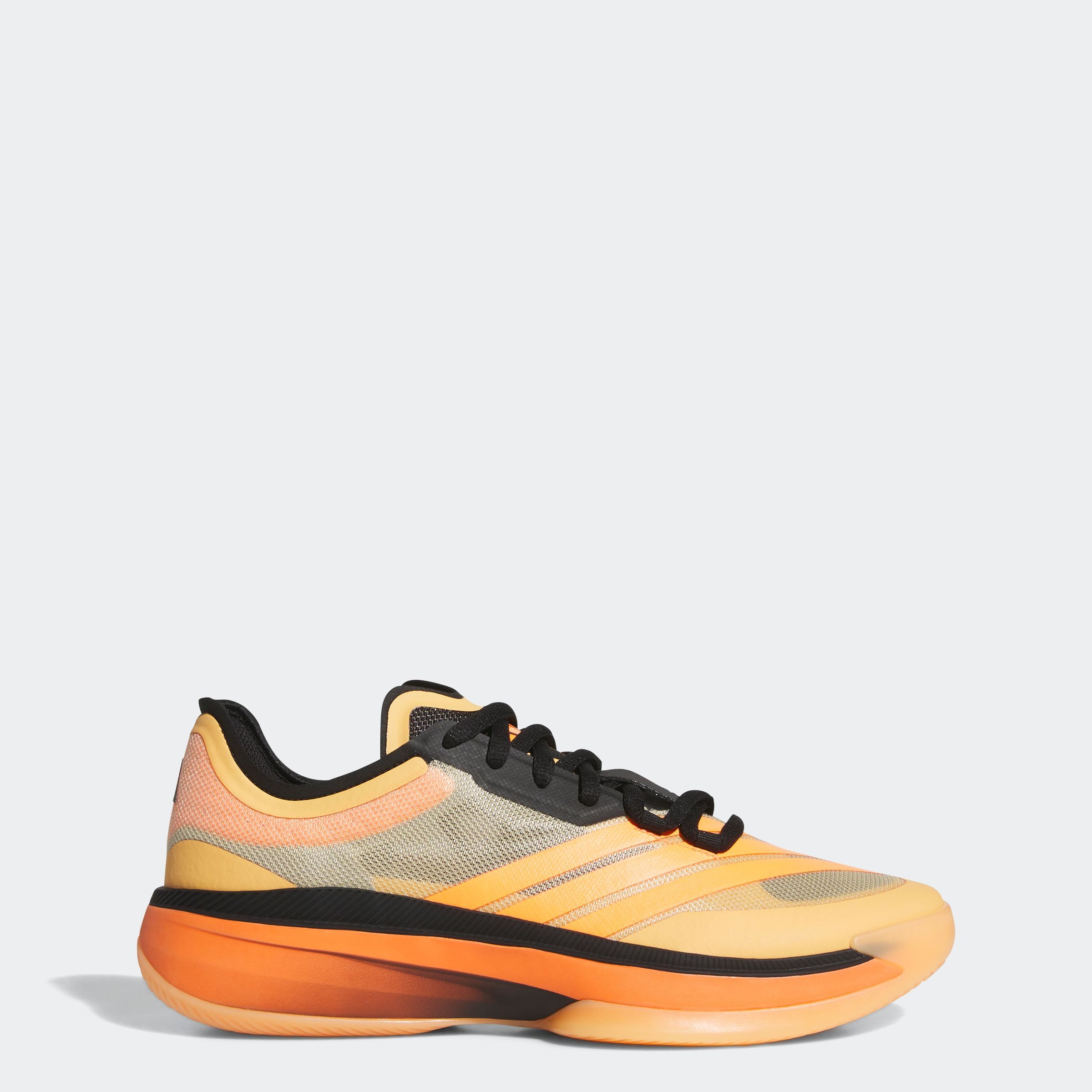 adidas Performance Basketbalschoenen ADIZERO SELECT 2.0 LOW SNEAKER