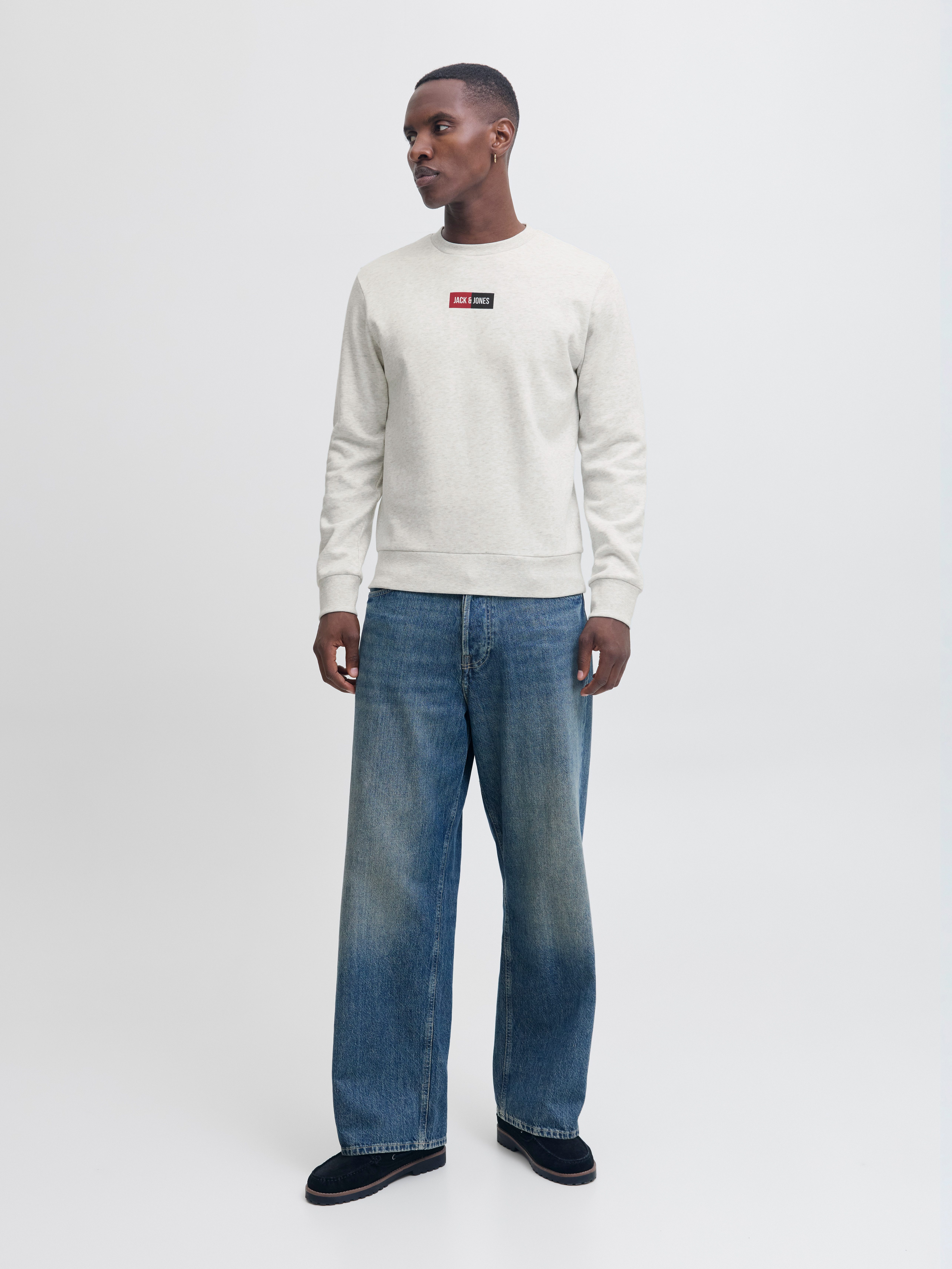 Jack & Jones Sweater JJPAN SWEAT CREW NECK
