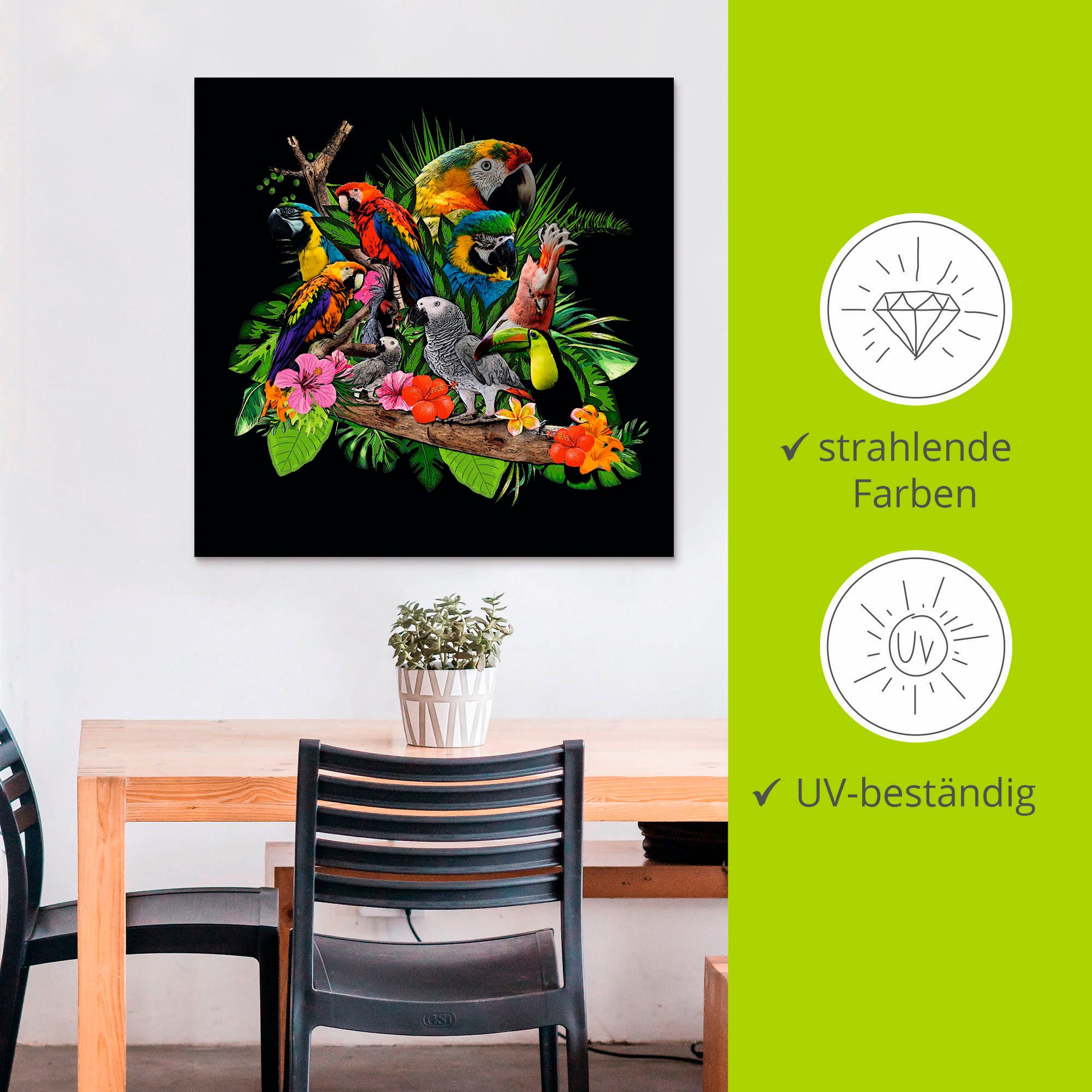 Artland Artprint Papegaaien Grijze Papegaai Kaketoe Jungle als artprint van aluminium, artprint voor buiten, artprint op linnen, poster, muursticker