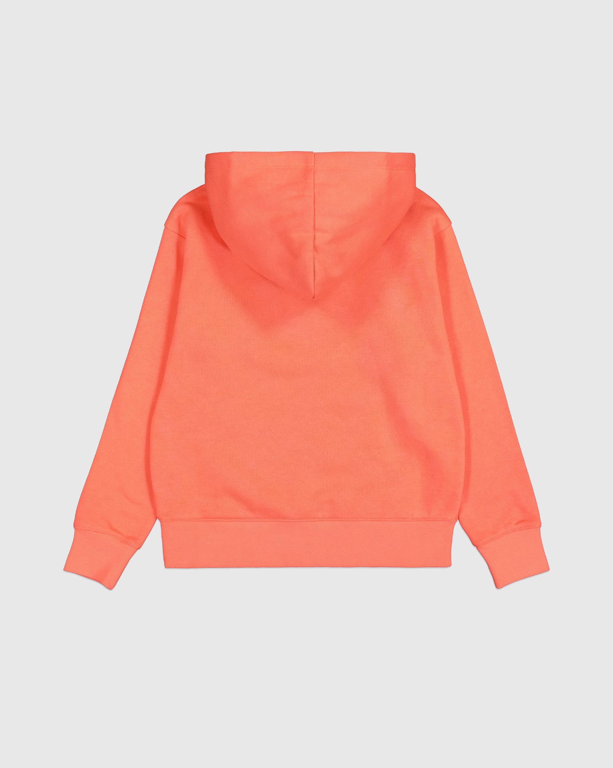 Champion Hoodie HOODED sweatshirt