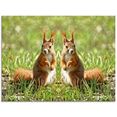 artland print op glas rood eekhoorntje tweelingen (1 stuk) beige