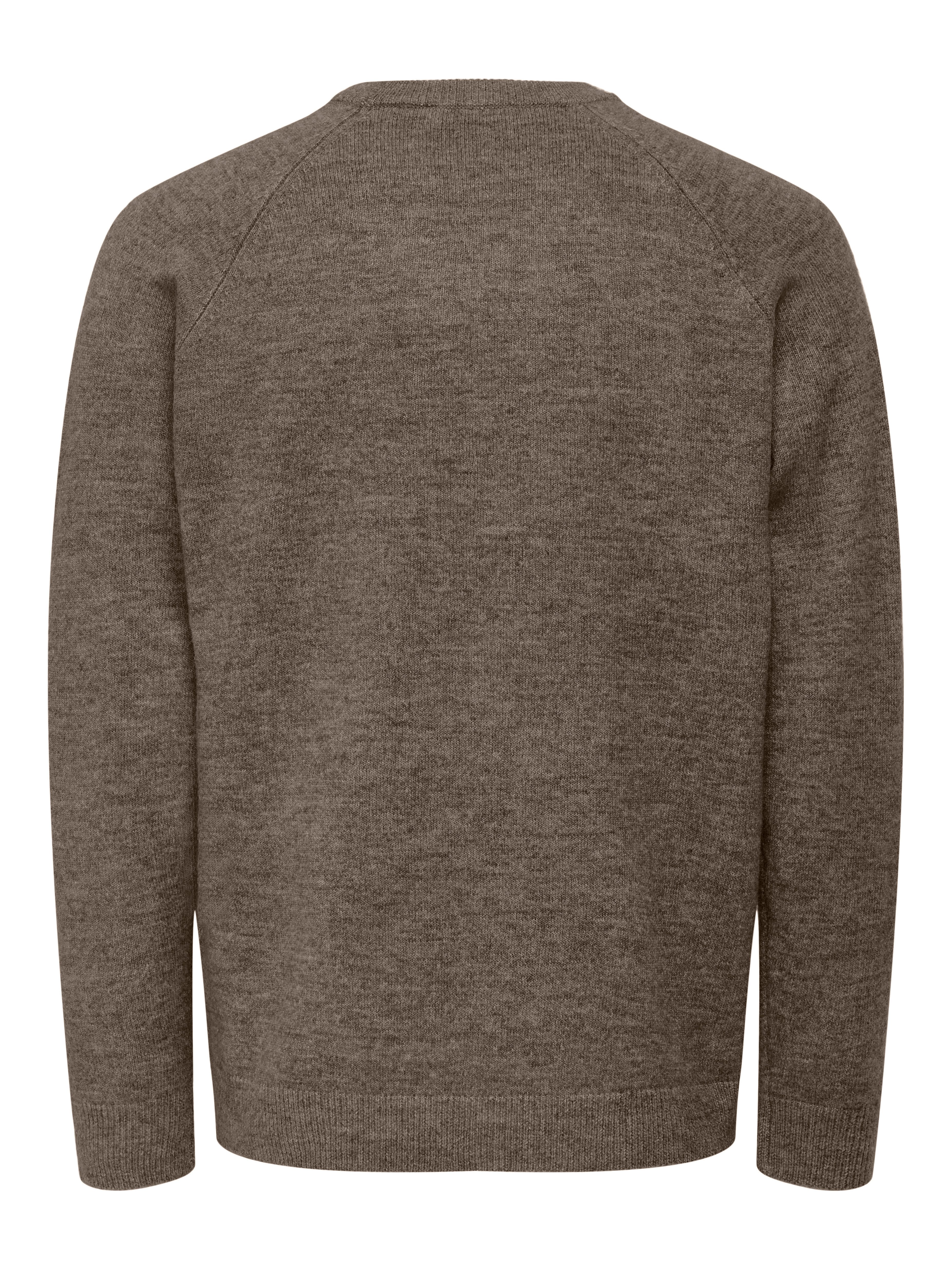 ONLY & SONS Trui met ronde hals ONSTHOMAS REG CREW NECK KNIT - OTL