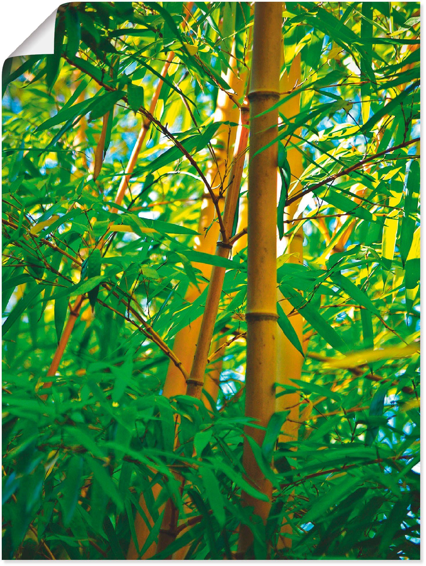 Artland Artprint Bamboe close-ups (1 stuk)