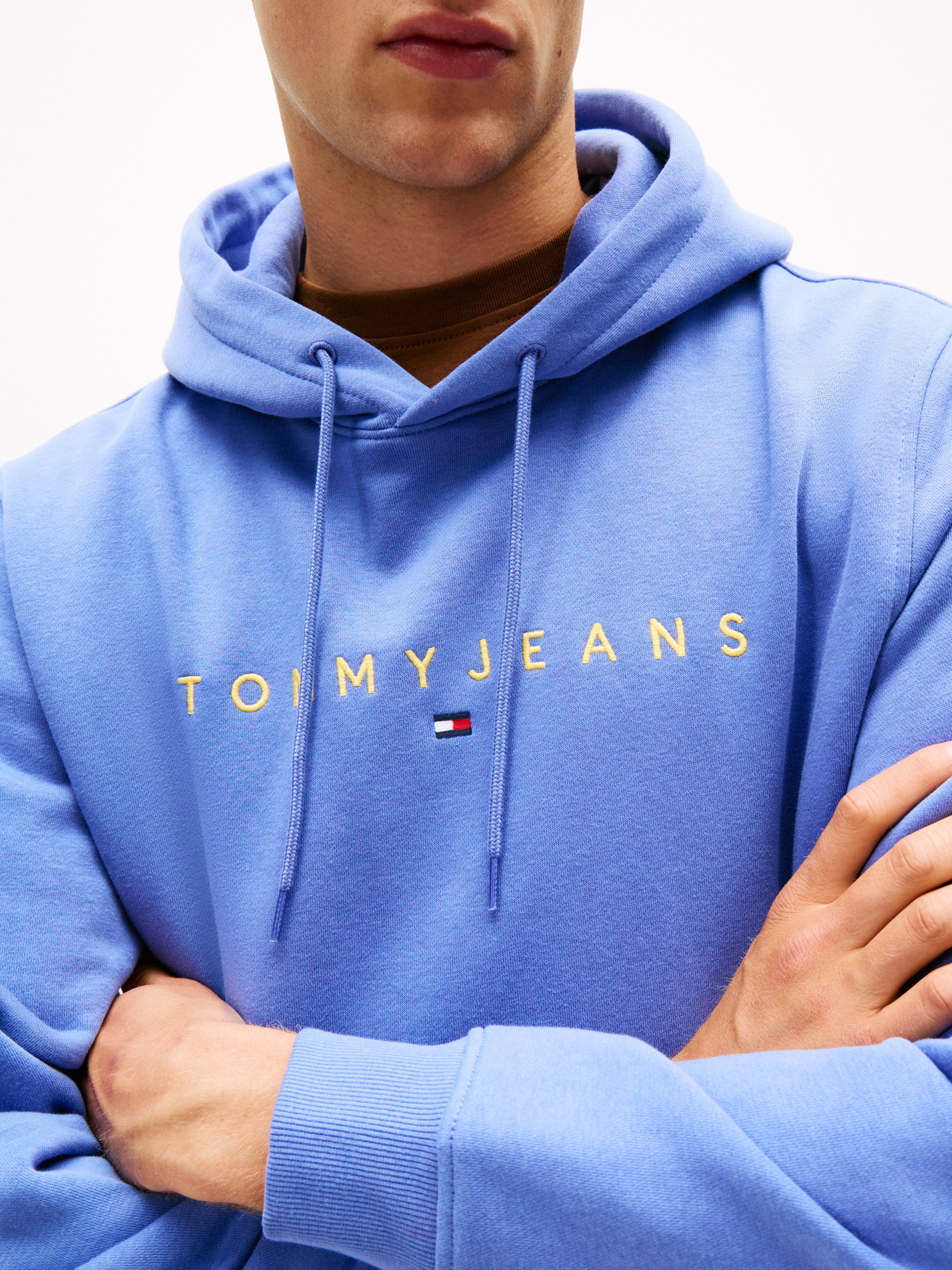 TOMMY JEANS Hoodie TJM REG LINEAR LOGO HOODIE EXT