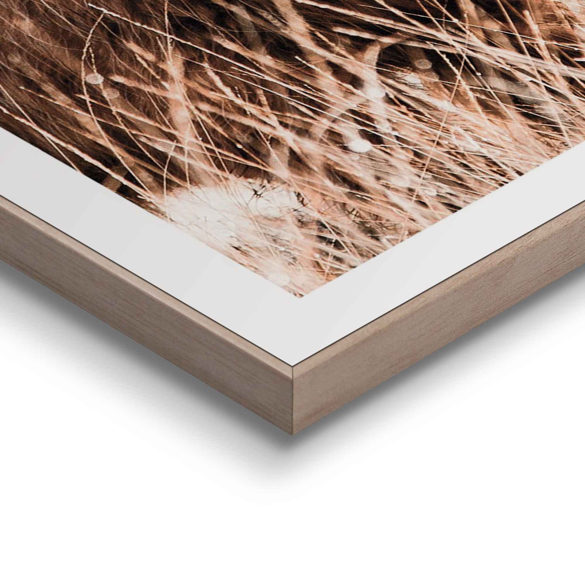 Reinders! Artprint Vrije natuur Highlander - koe - heide - strand - rust (2-delig)