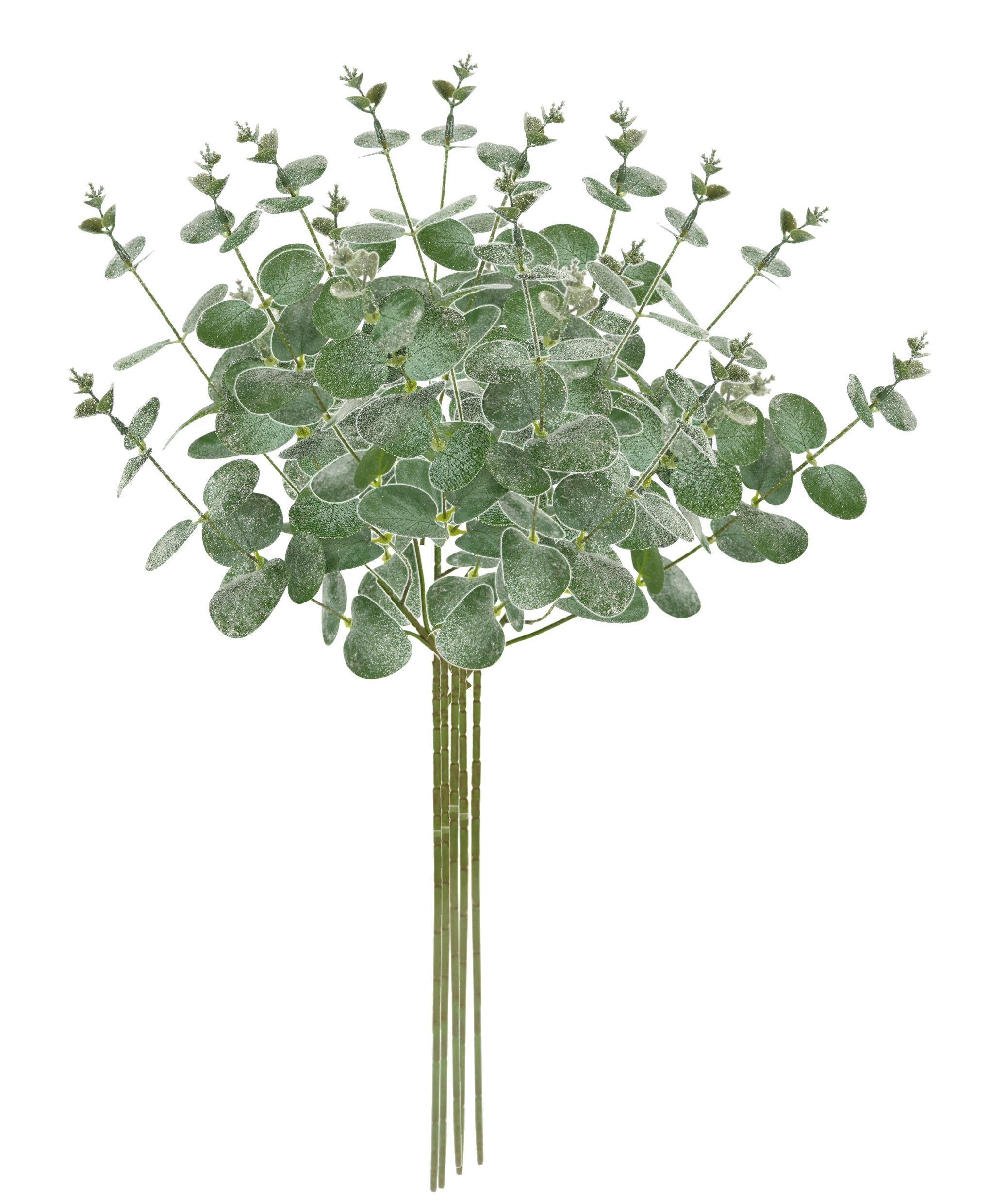 I.GE.A. Kunsttak Kunstmatige eucalyptus tak set van 5 decoratieve tak voor slinger krans kerstdecoratie enkele bloem (5 stuks)