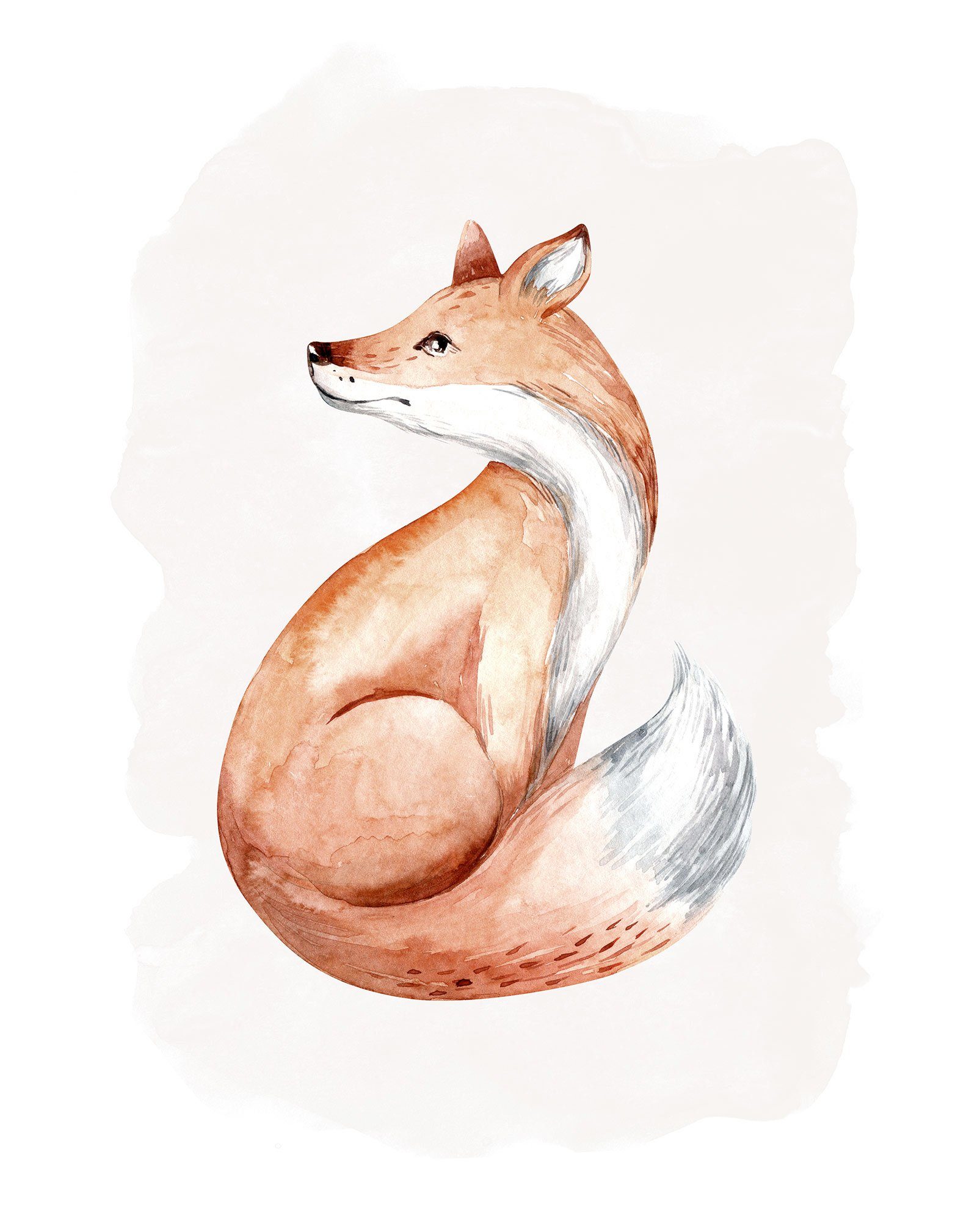 Komar Poster Curious Fox
