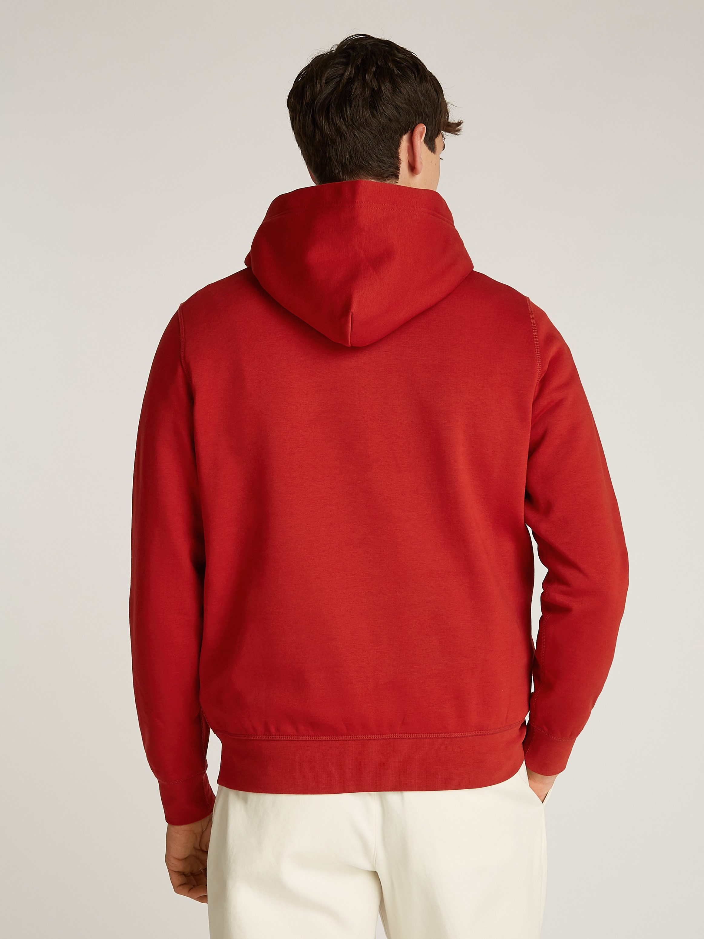 Tommy Hilfiger Hoodie BIG HILFIGER HOODY met contrastkleurige print