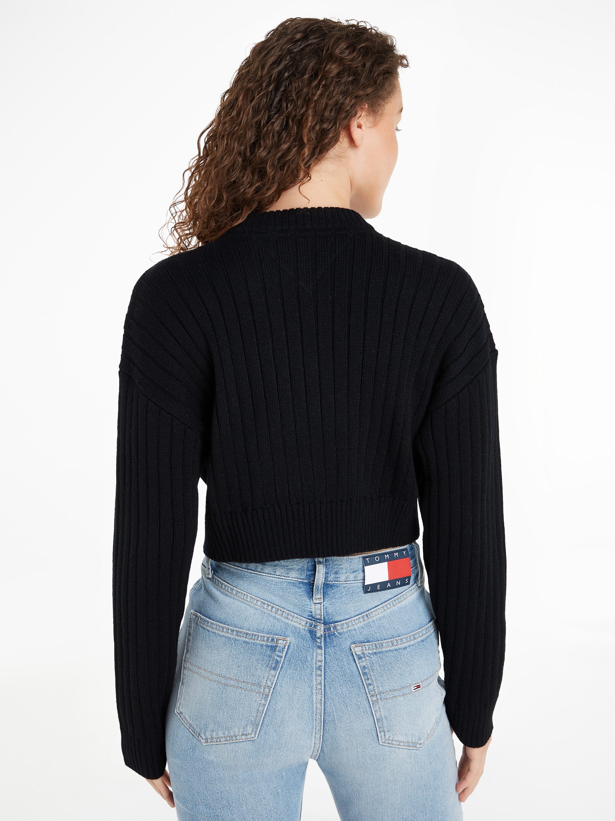 Tommy Jeans Curve Trui met V-hals TJW VNCK CENTER FLAG SWEATER EXT