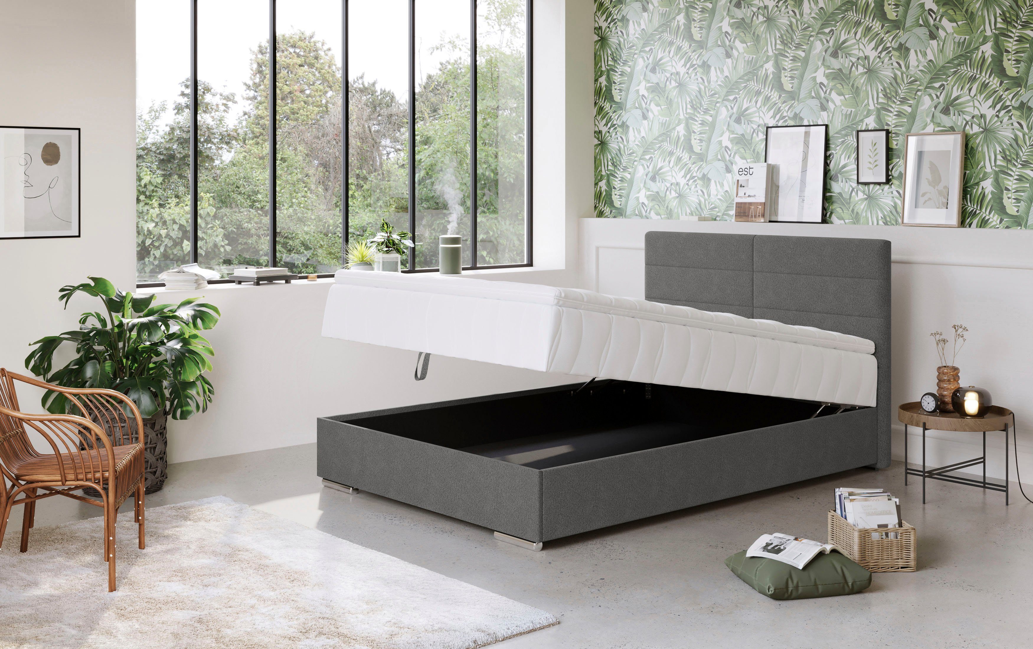 COTTA Boxspring Tom met bedkist, topmatras en sierkussen